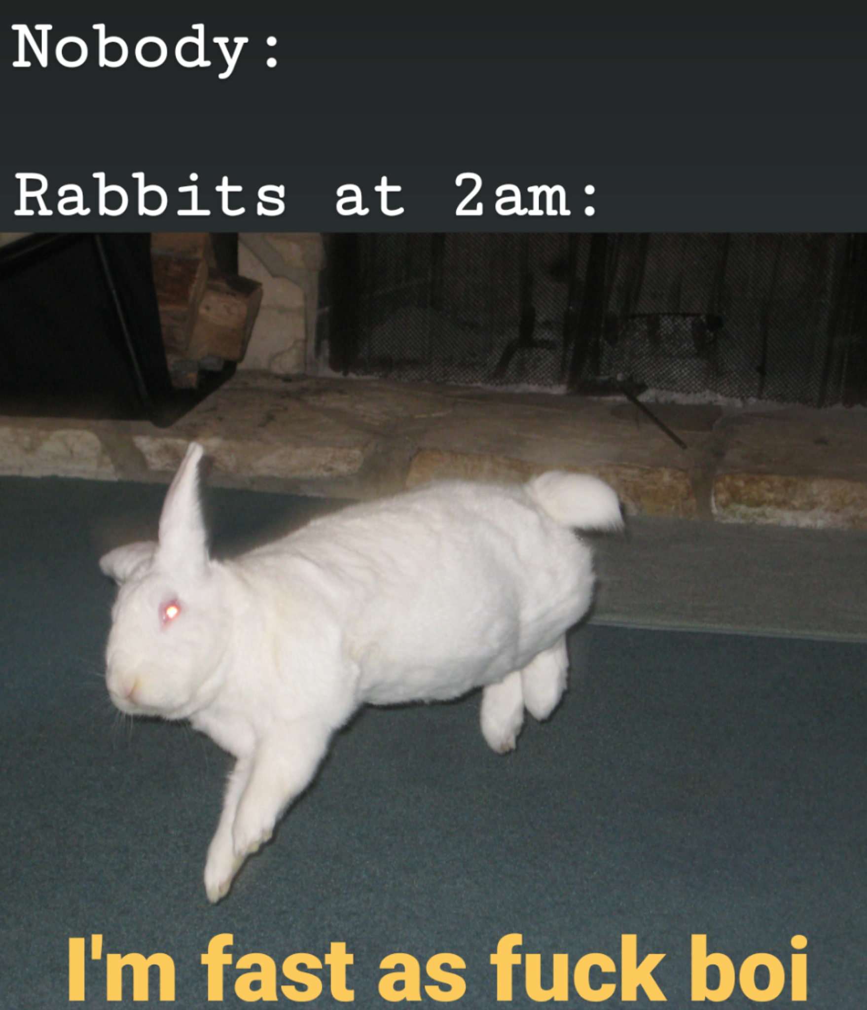 Discover more like Rabbits: I made a meme and Related Content | Scrolller