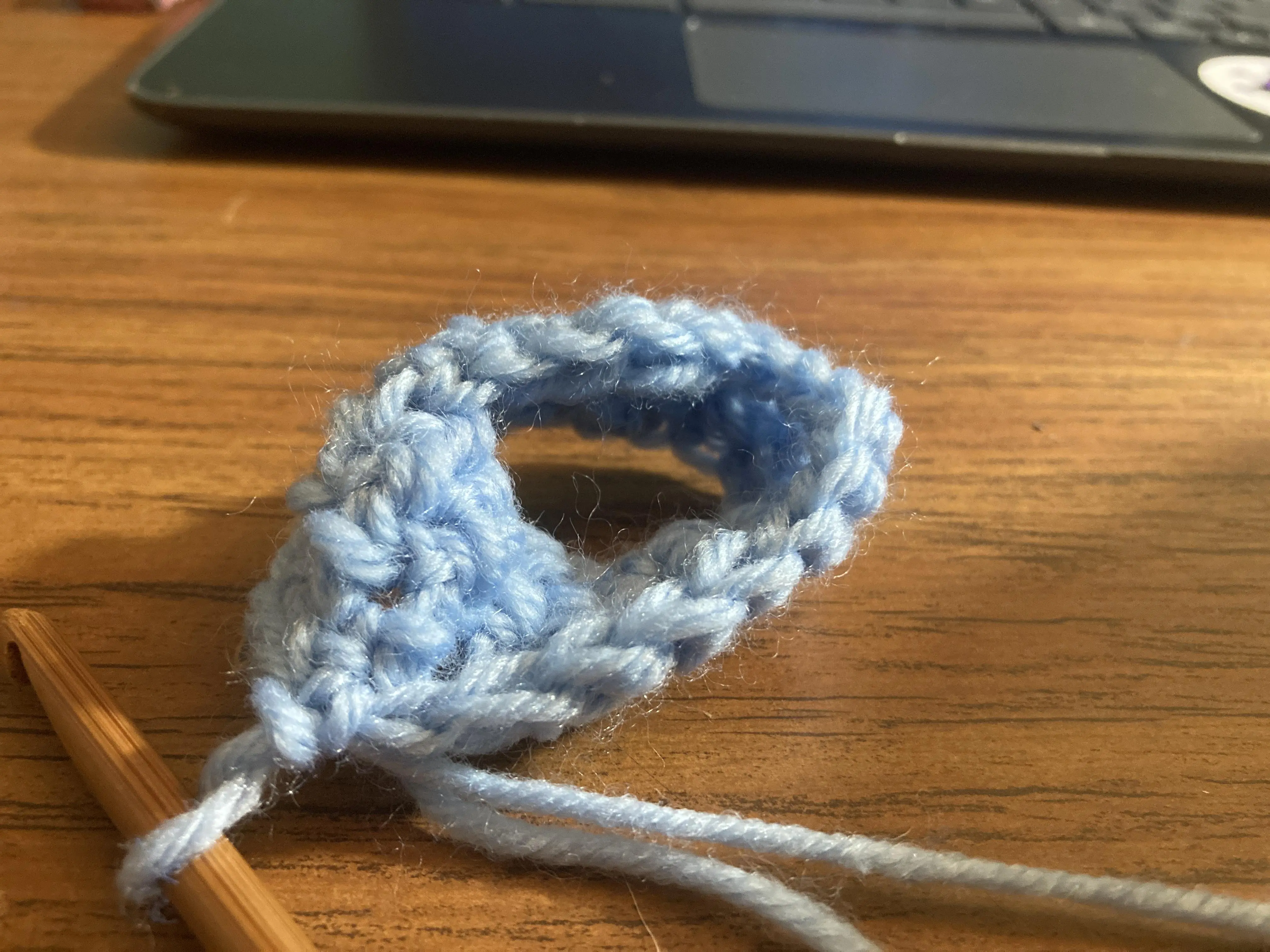 I might have crocheted a Mobius Strip…