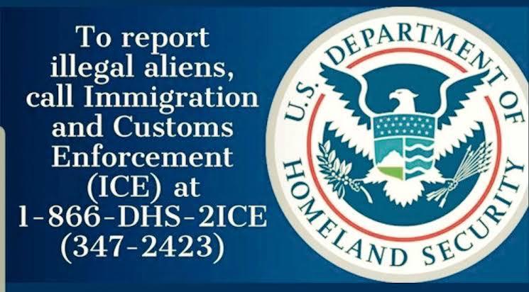 If you see an alien, call ICE | Scrolller
