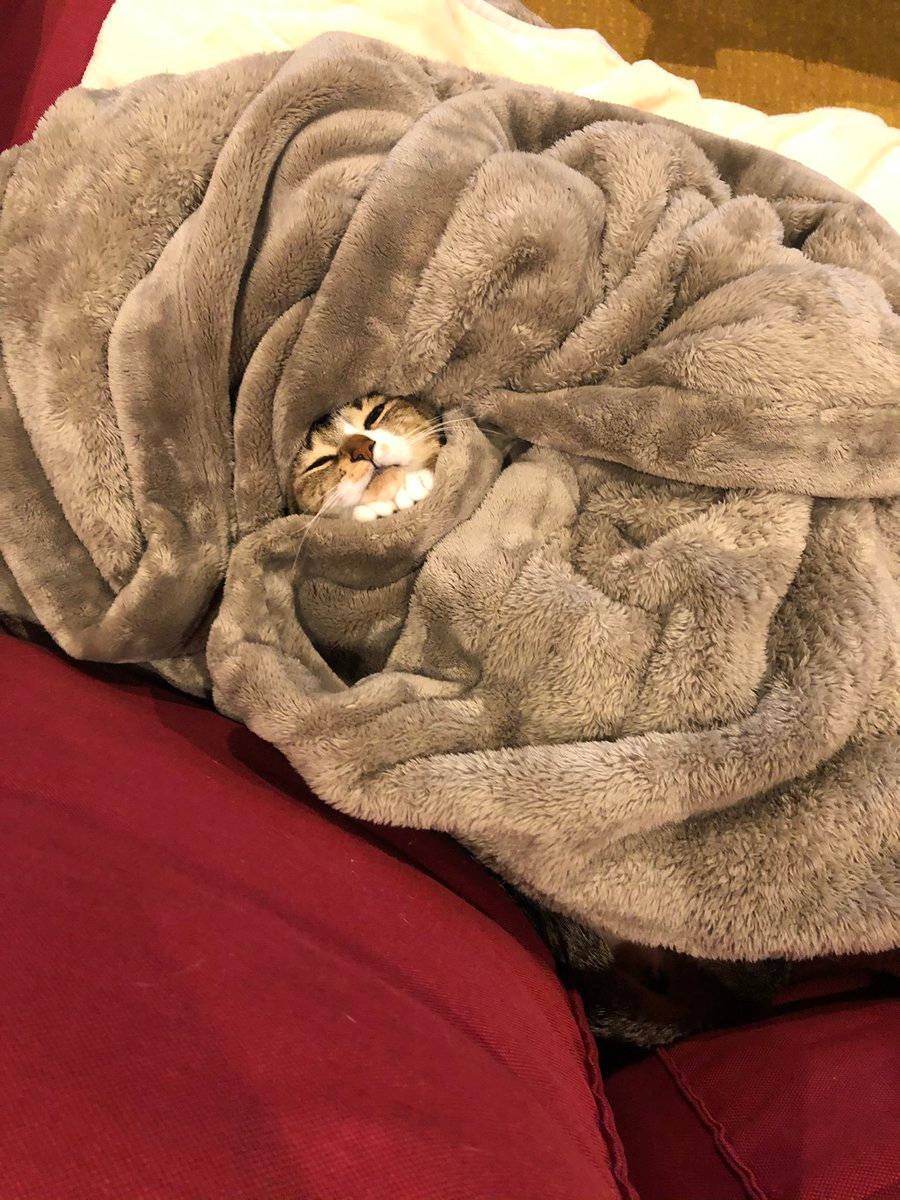 I'm not cold anymore Scrolller