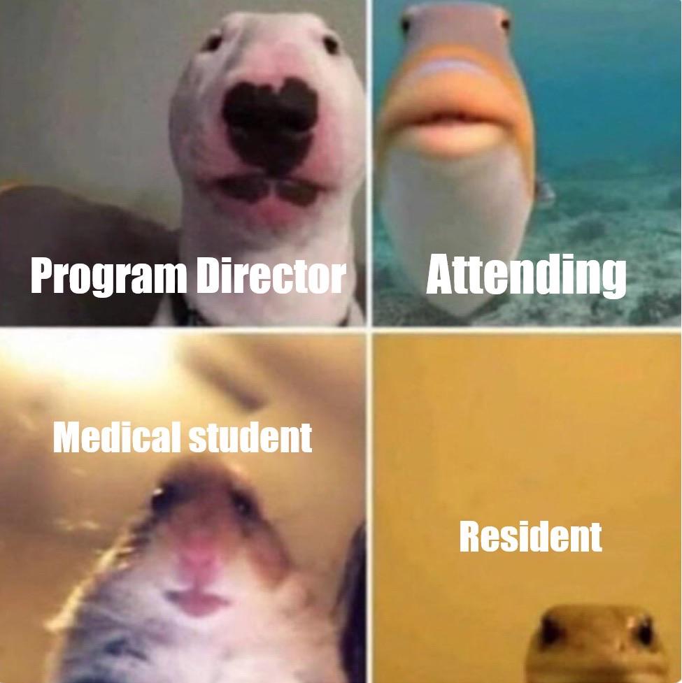 Interviews class of 2021 be like... [shitpost] | Scrolller