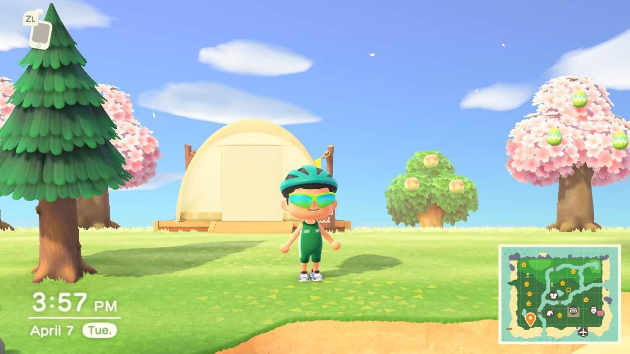 Is my Animal Crossing guy "Aero" enough? | Scrolller