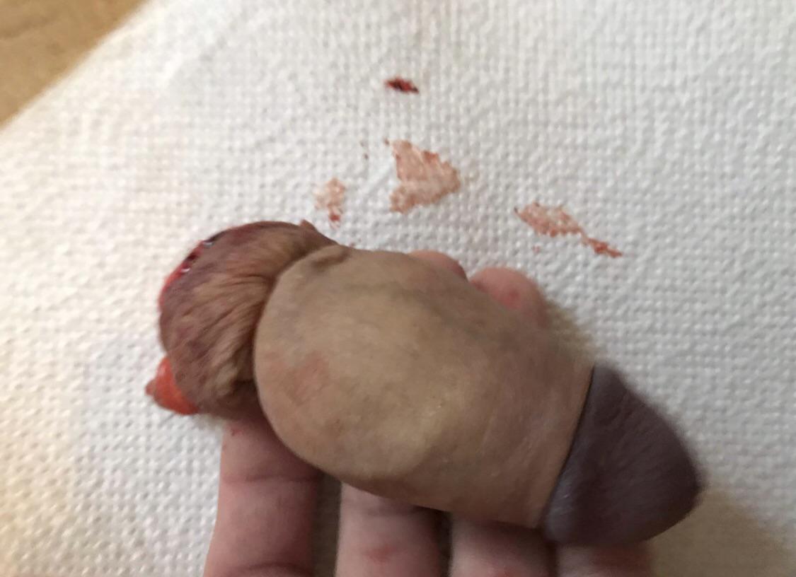 It was good while it lasted 😈 🔪 Scrolller 