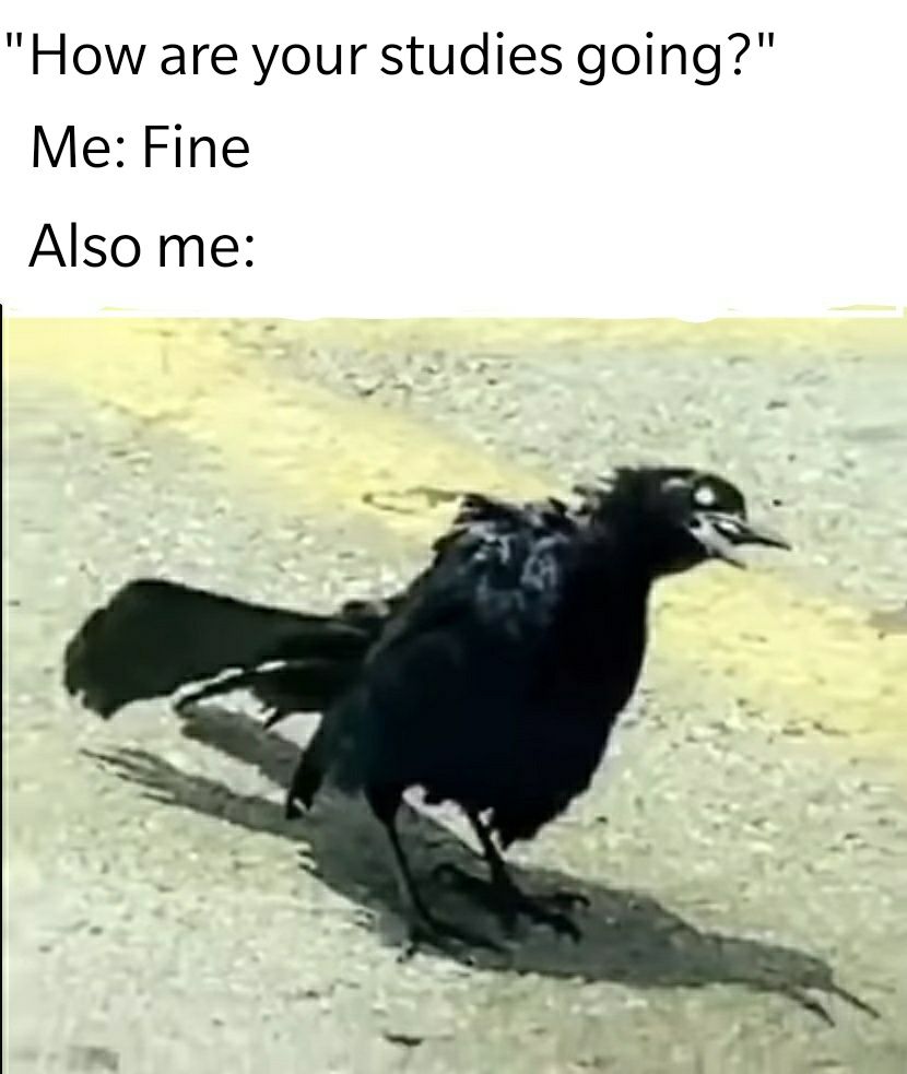 It's a hard year Scrolller