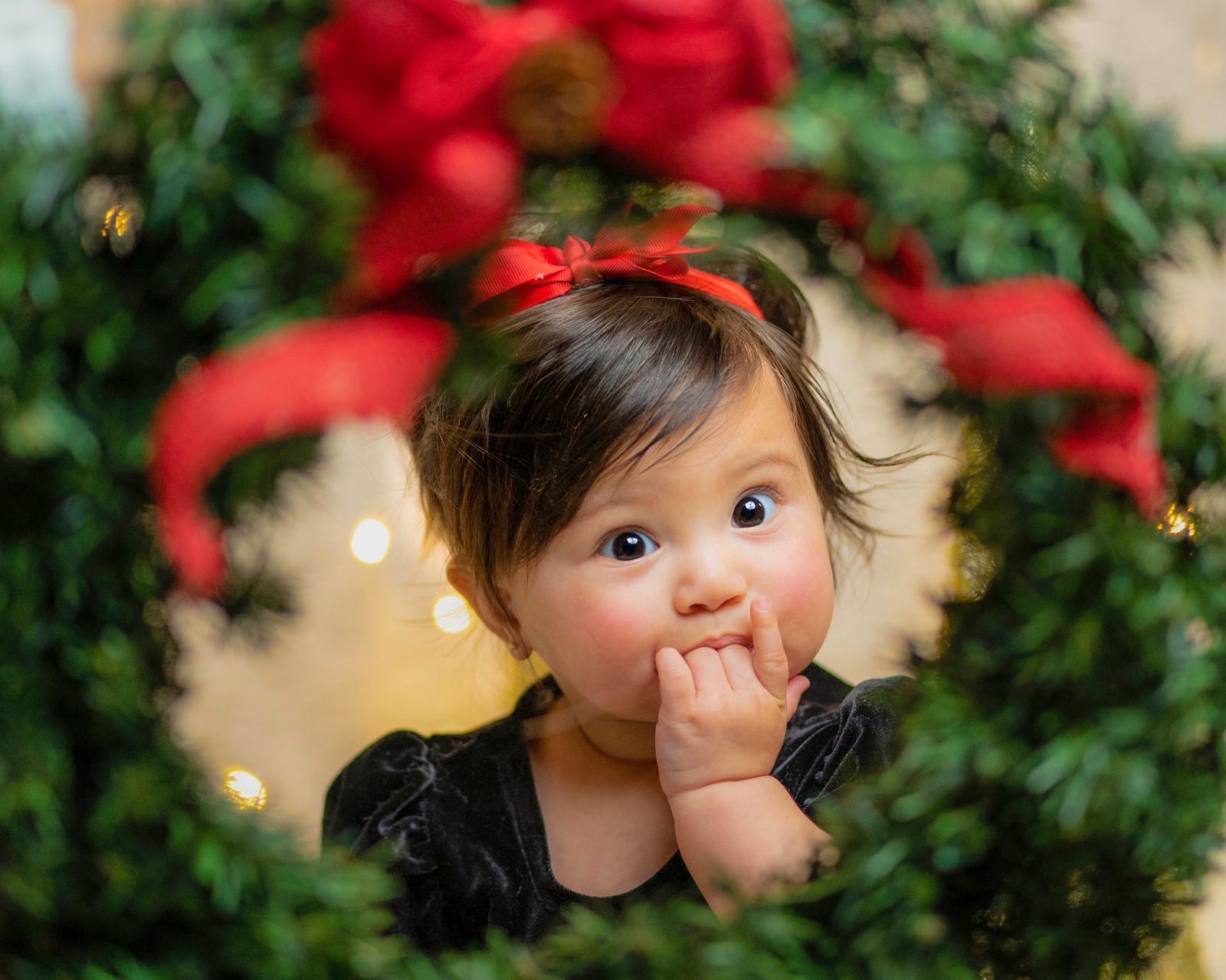 It's that time of the year! 🎄 | Scrolller