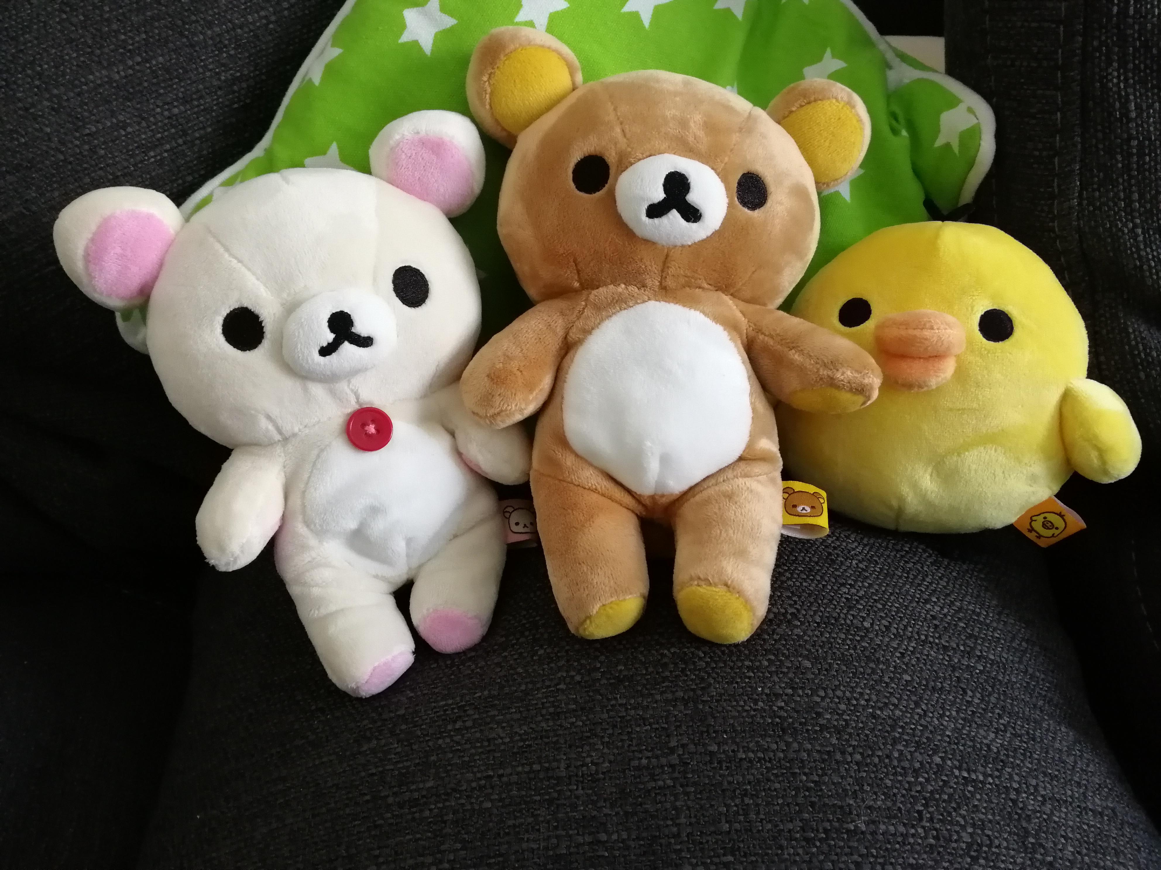 Korilakkuma, Rilakkuma and Kiiroitori arrived 🧡💛💚 Scrolller