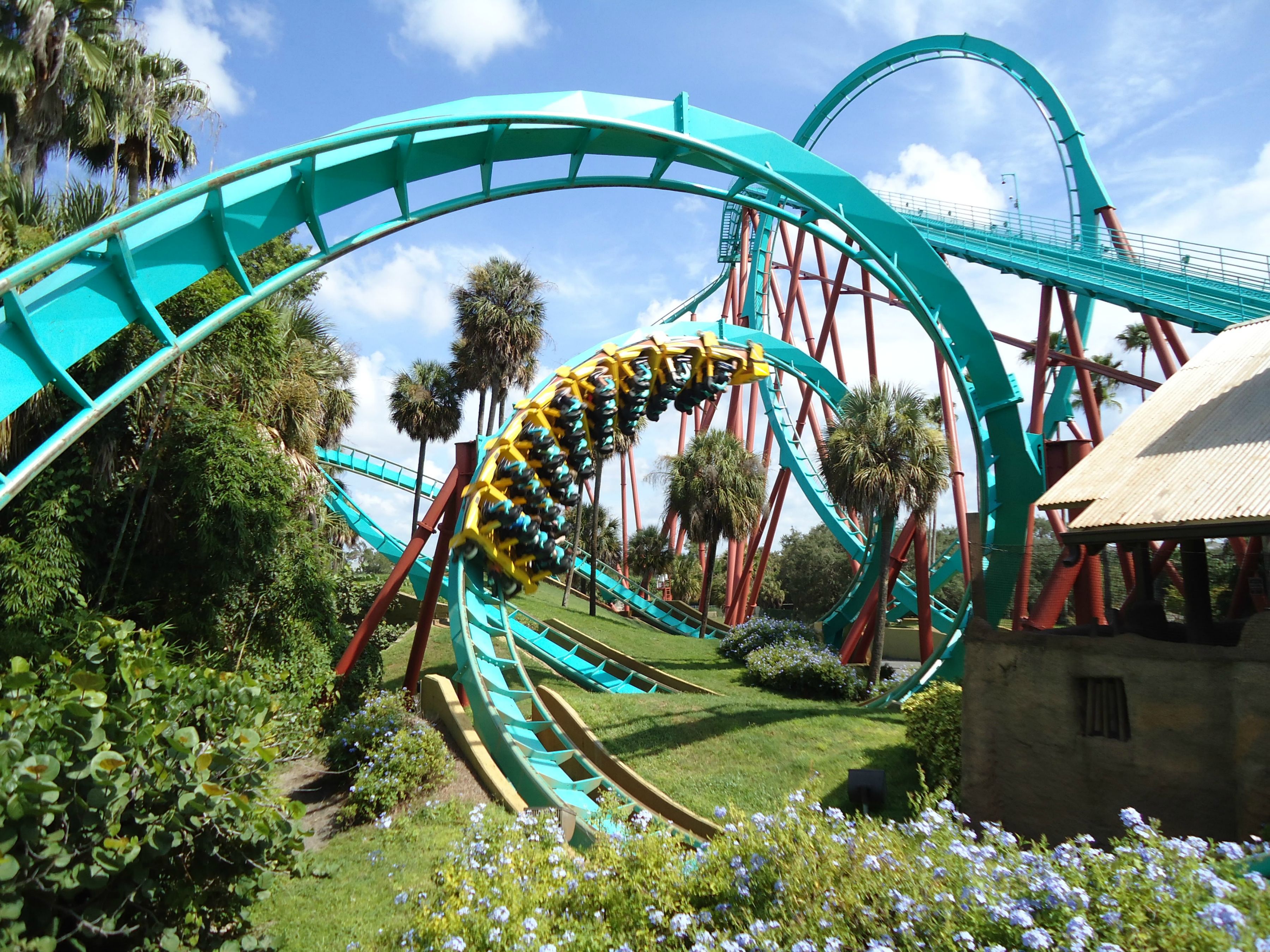 Kumba - Busch Gardens, Tampa FL [4000x3000] | Scrolller