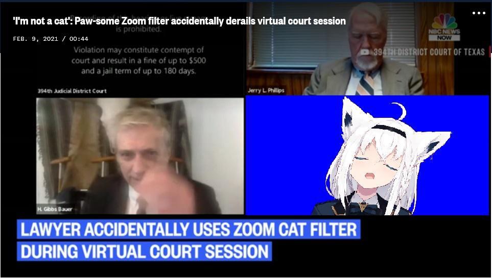 Lawyer Accidentally Uses Zoom Cat Filter During Virtual Court Session