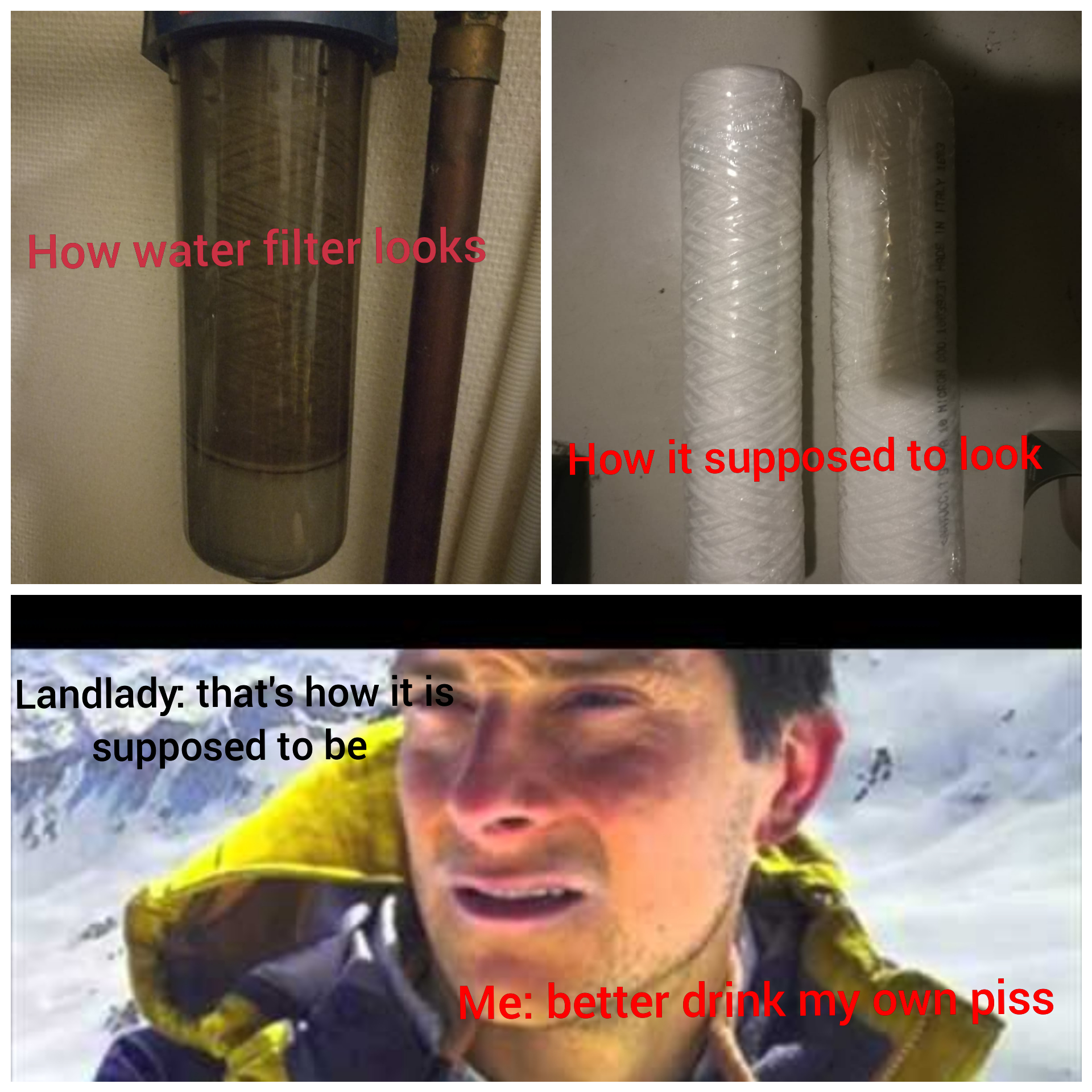 Living in Norway as a foreigner be like Scrolller