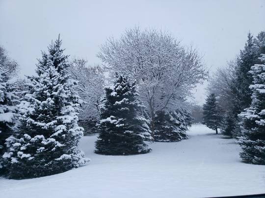 Loving life right now ❄⛄