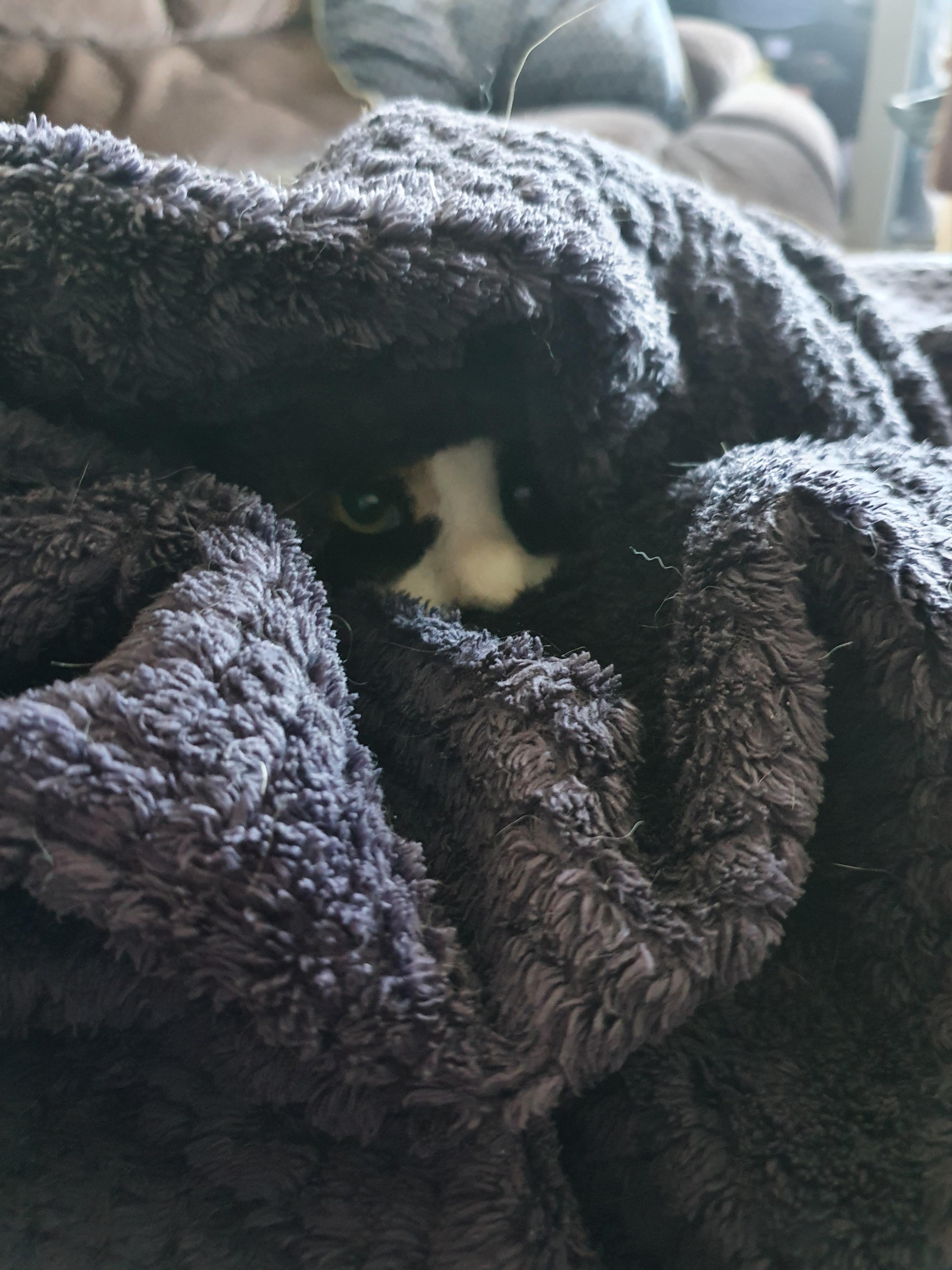 Maximum tucked, maximum warmth. | Scrolller