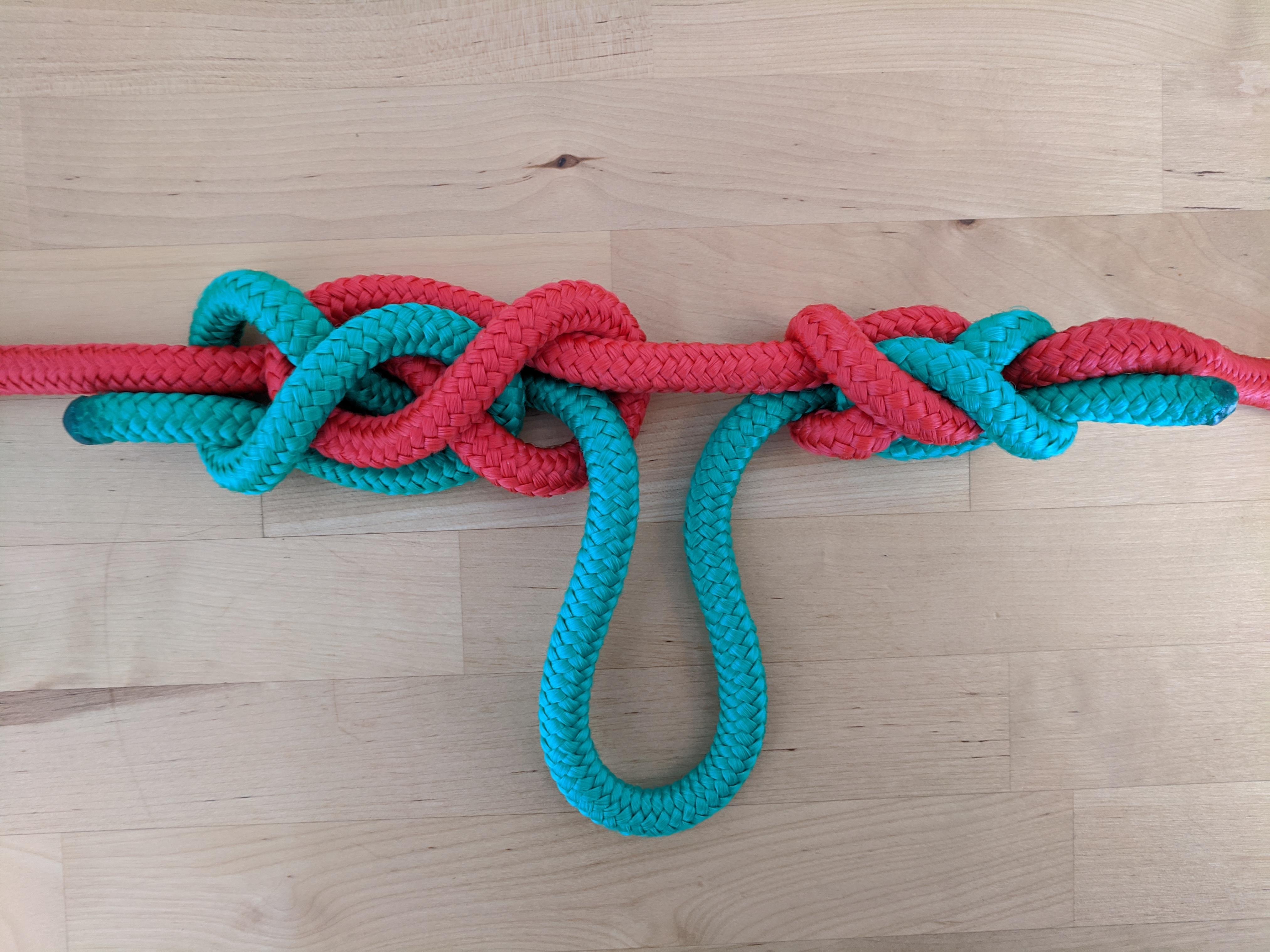 Midline or loop knot (loose on left) ? _ | Scrolller
