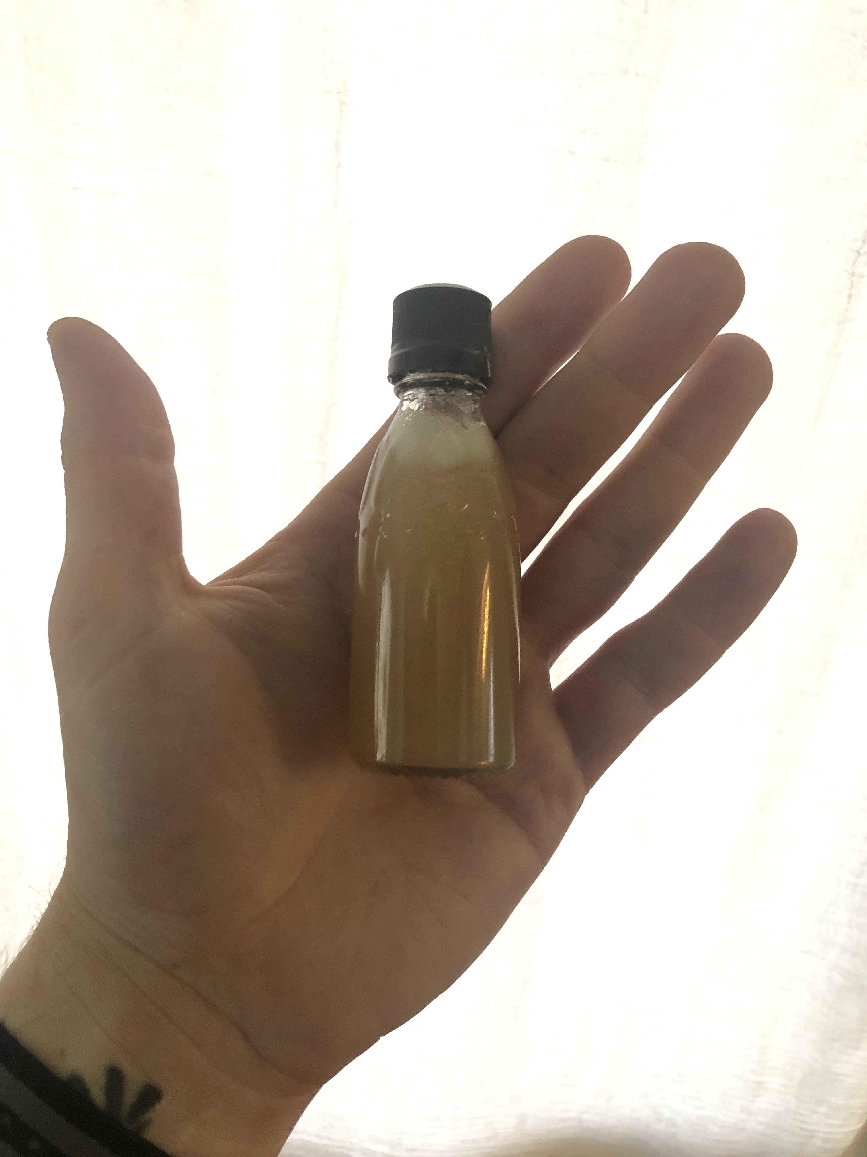 Moved here last year, made my first maple syrup from tapping my one ...