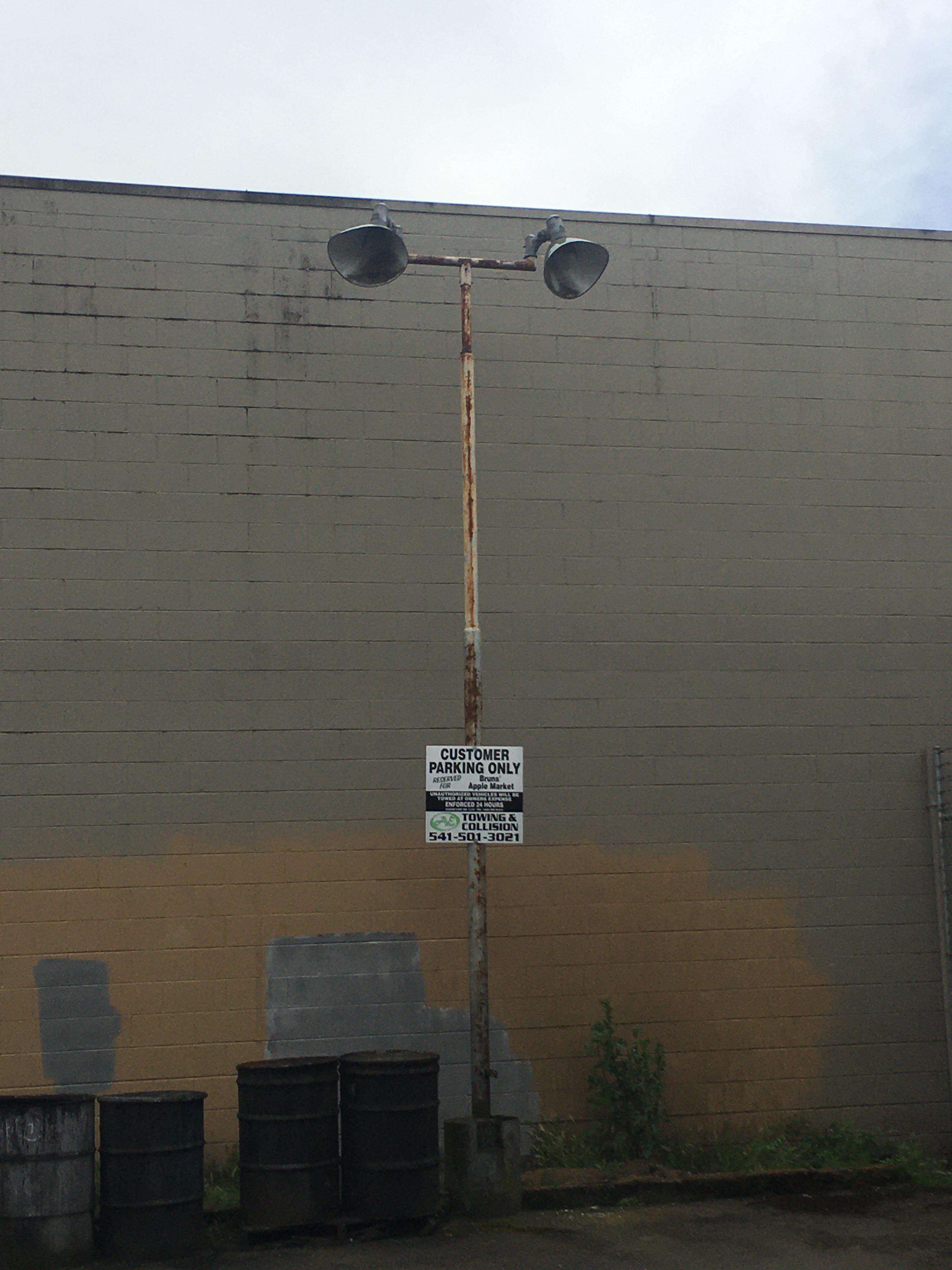 My five year old son is obsessed with siren head and just saw this. He