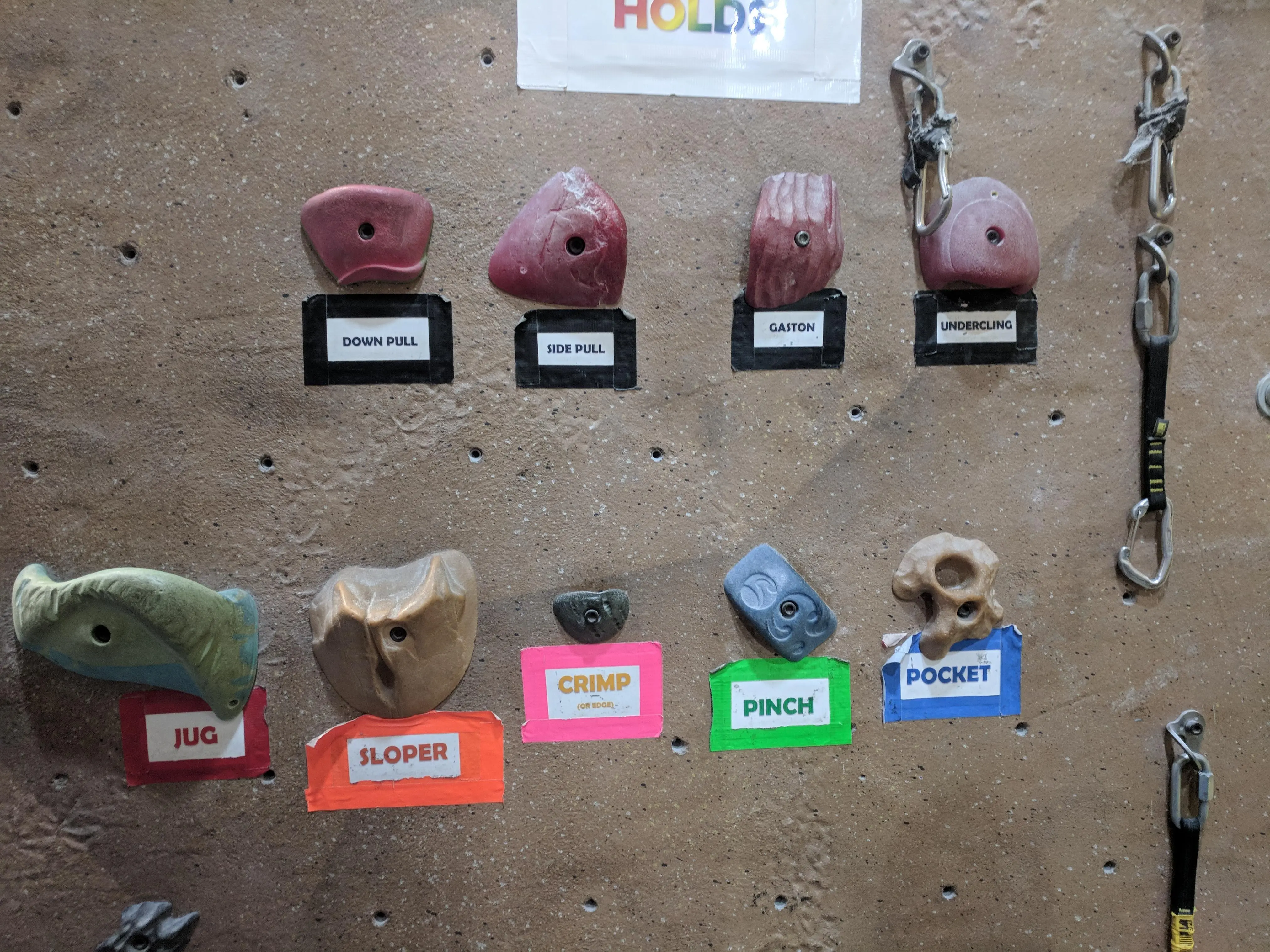 My local gym has labeled examples of the major types of holds | Scrolller