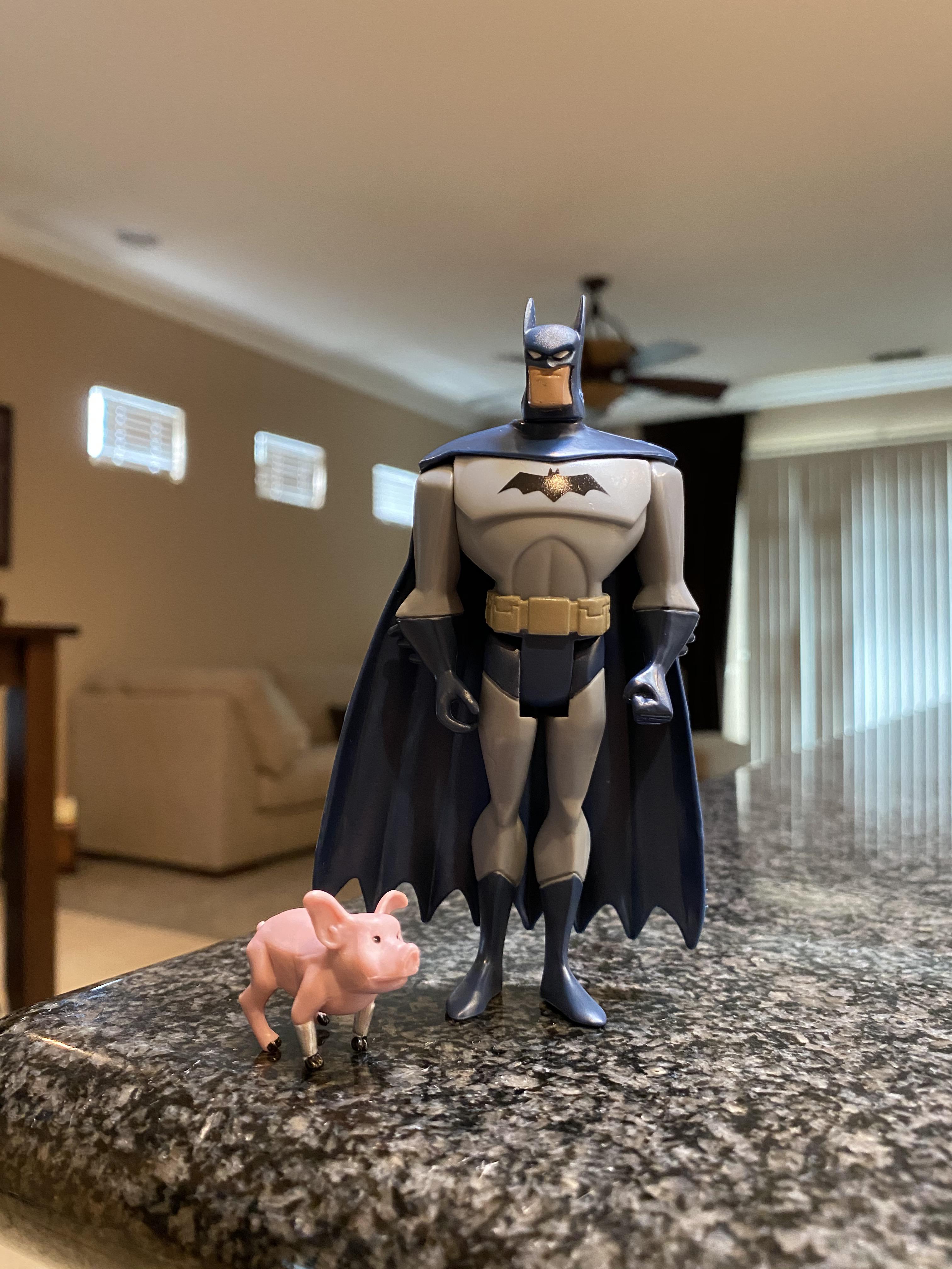 My new Batman and Wonder Pig lmao | Scrolller