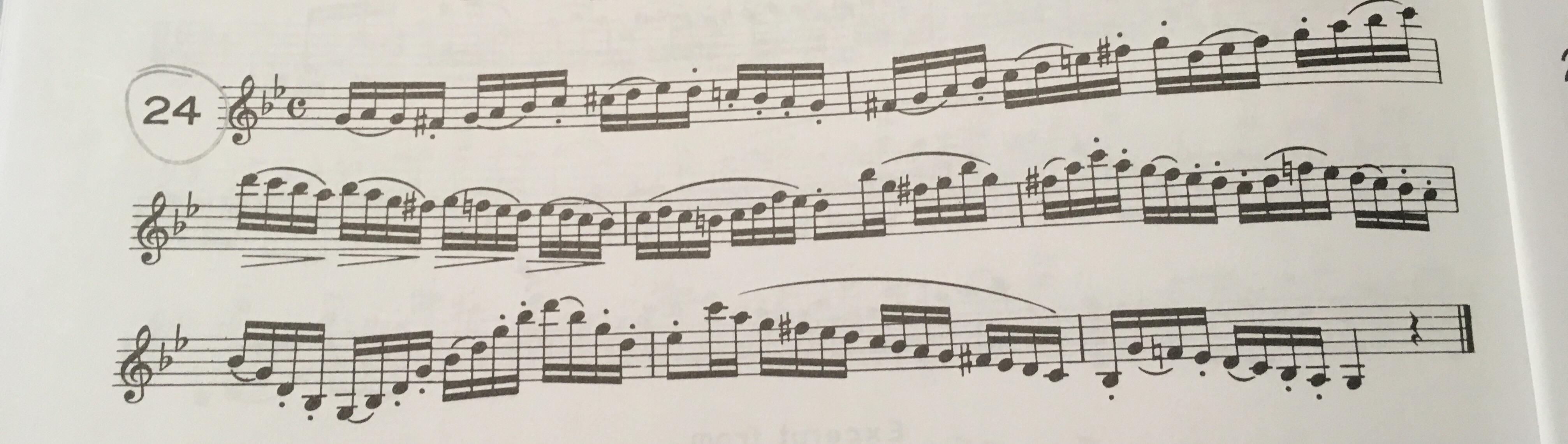 my-technical-exercise-for-my-middle-school-all-state-audition-just-got