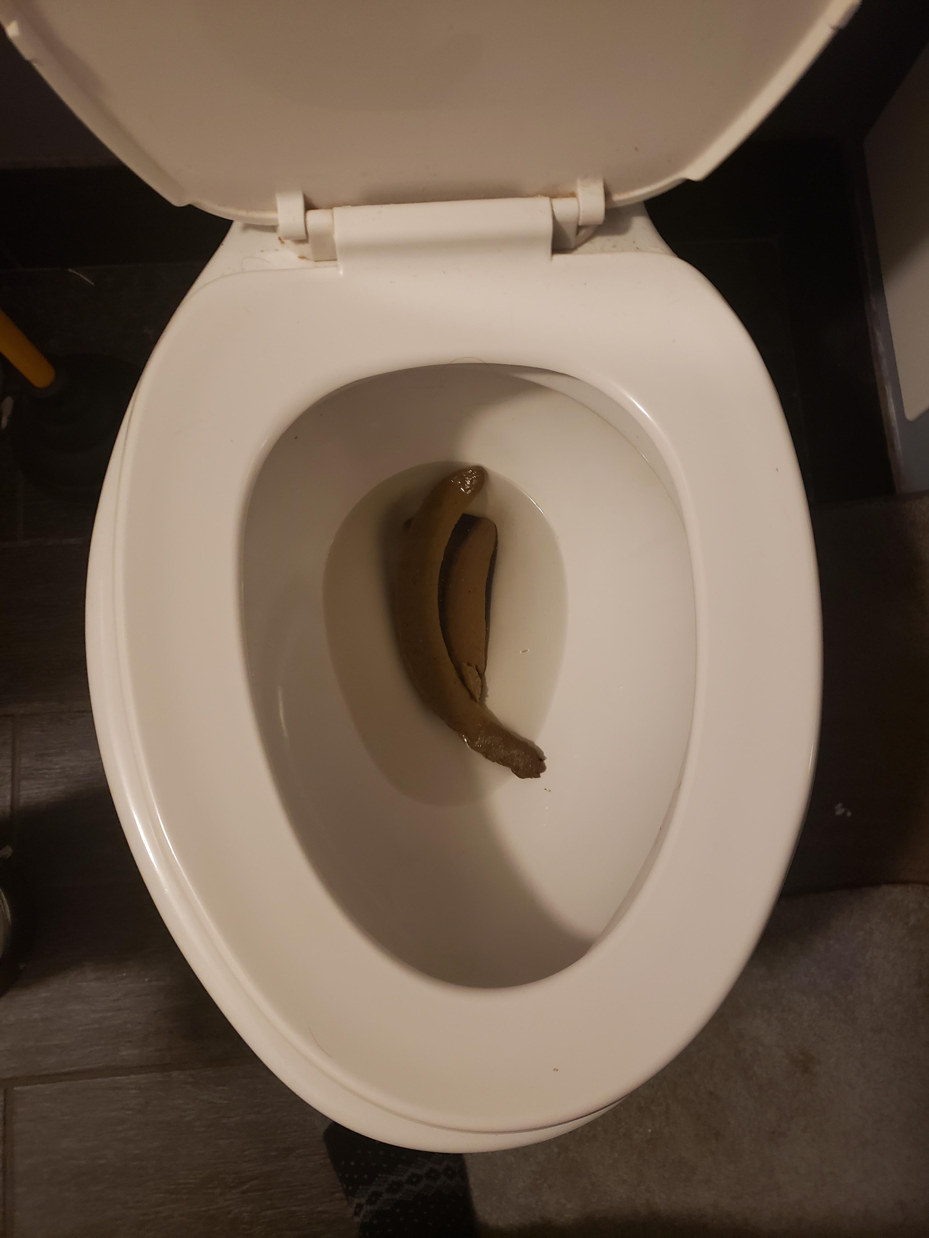 my-xmas-shite-after-not-pooping-for-4-days-again-scrolller