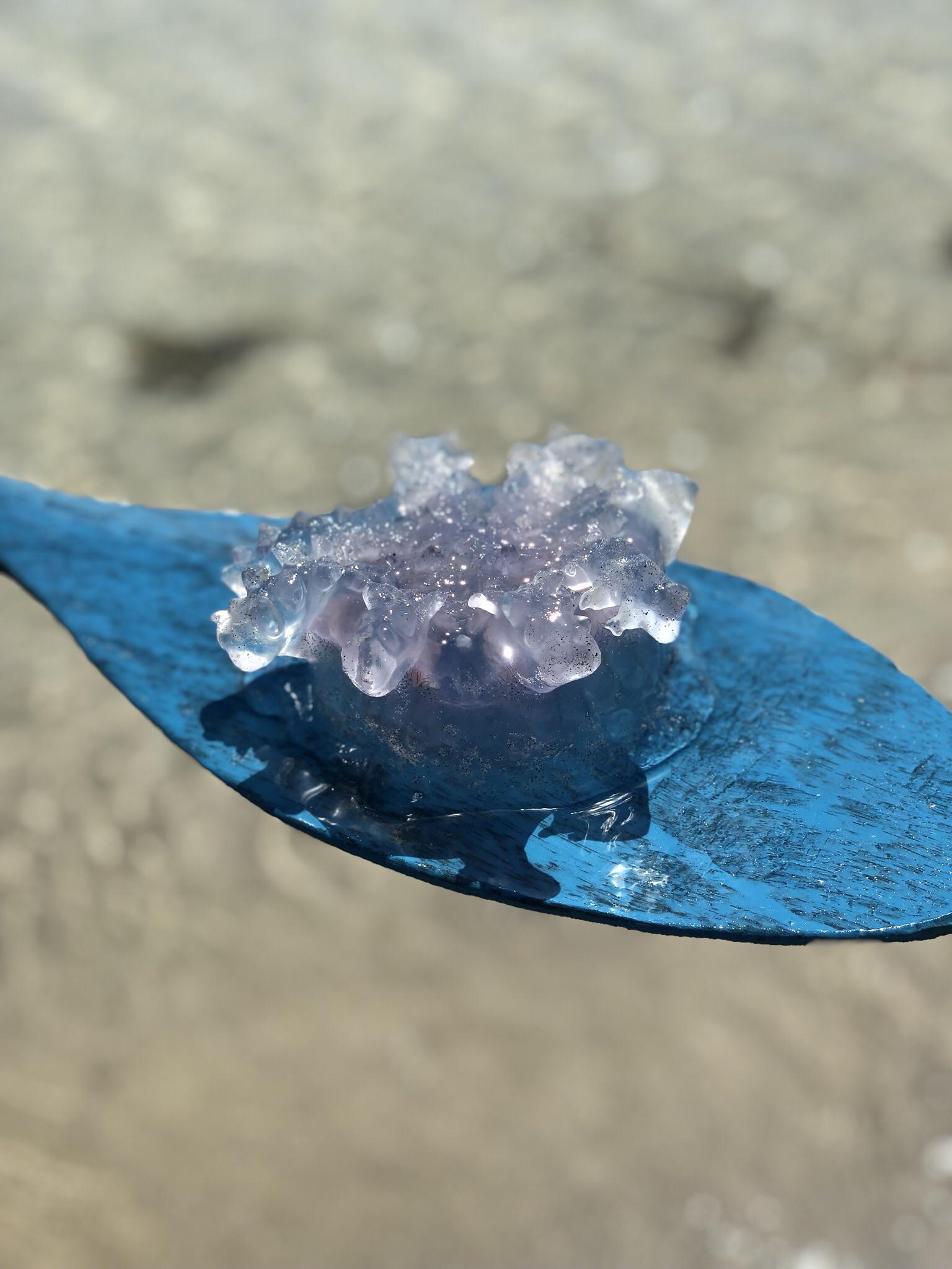 Unbelievable!  The Mystery Of Jellyfish Respiration Solved! - hl3g93i