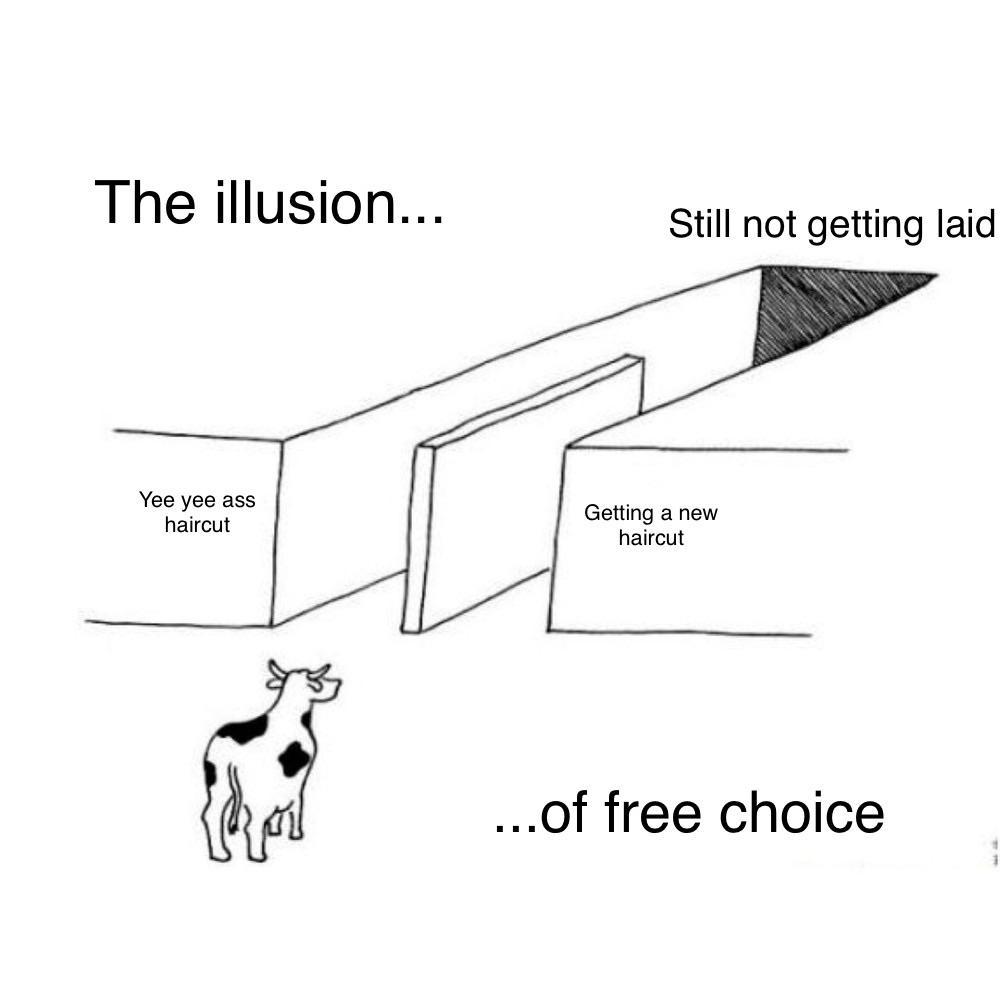 Never Had A Choice Scrolller never-had-a-choice-scrolller