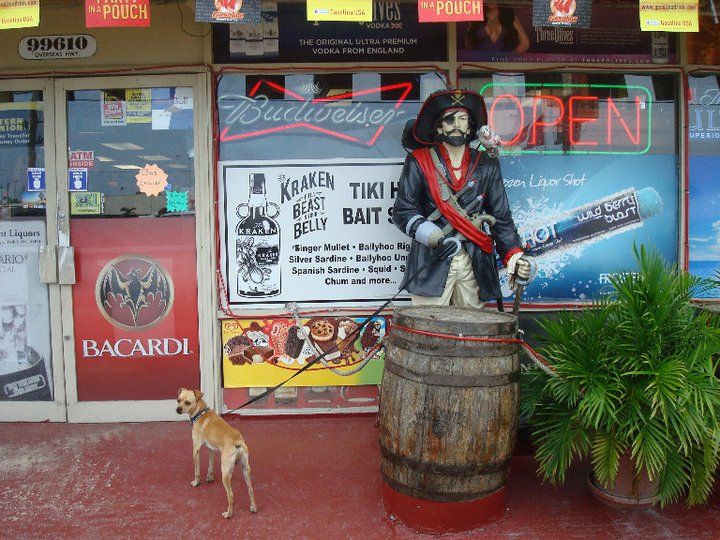 Only in Florida can a fiberglass pirate watch your dog while you hit