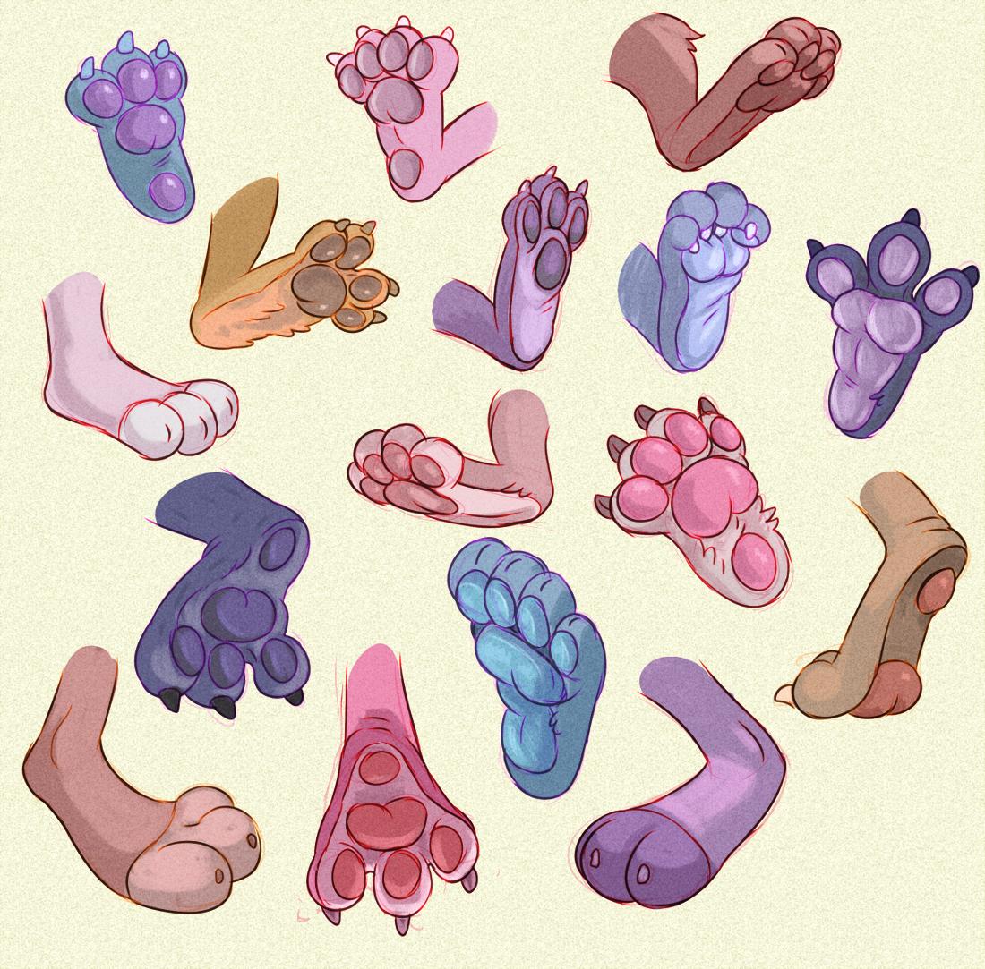 [Other] Different types of paws | Scrolller