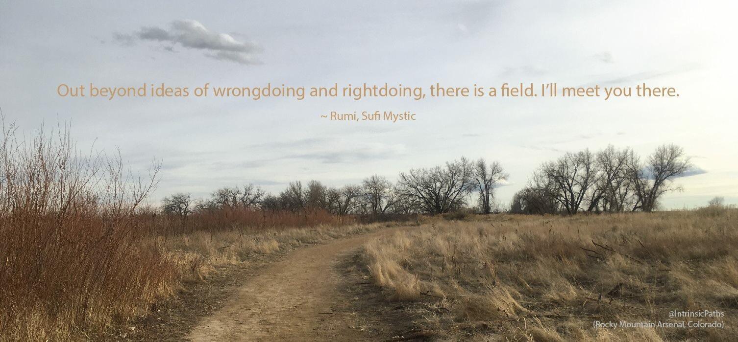 Out beyond ideas of wrongdoing and rightdoing, there is a field. I'll