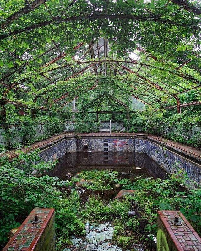 Overgrown Pool At An Abandoned Mansion Scrolller