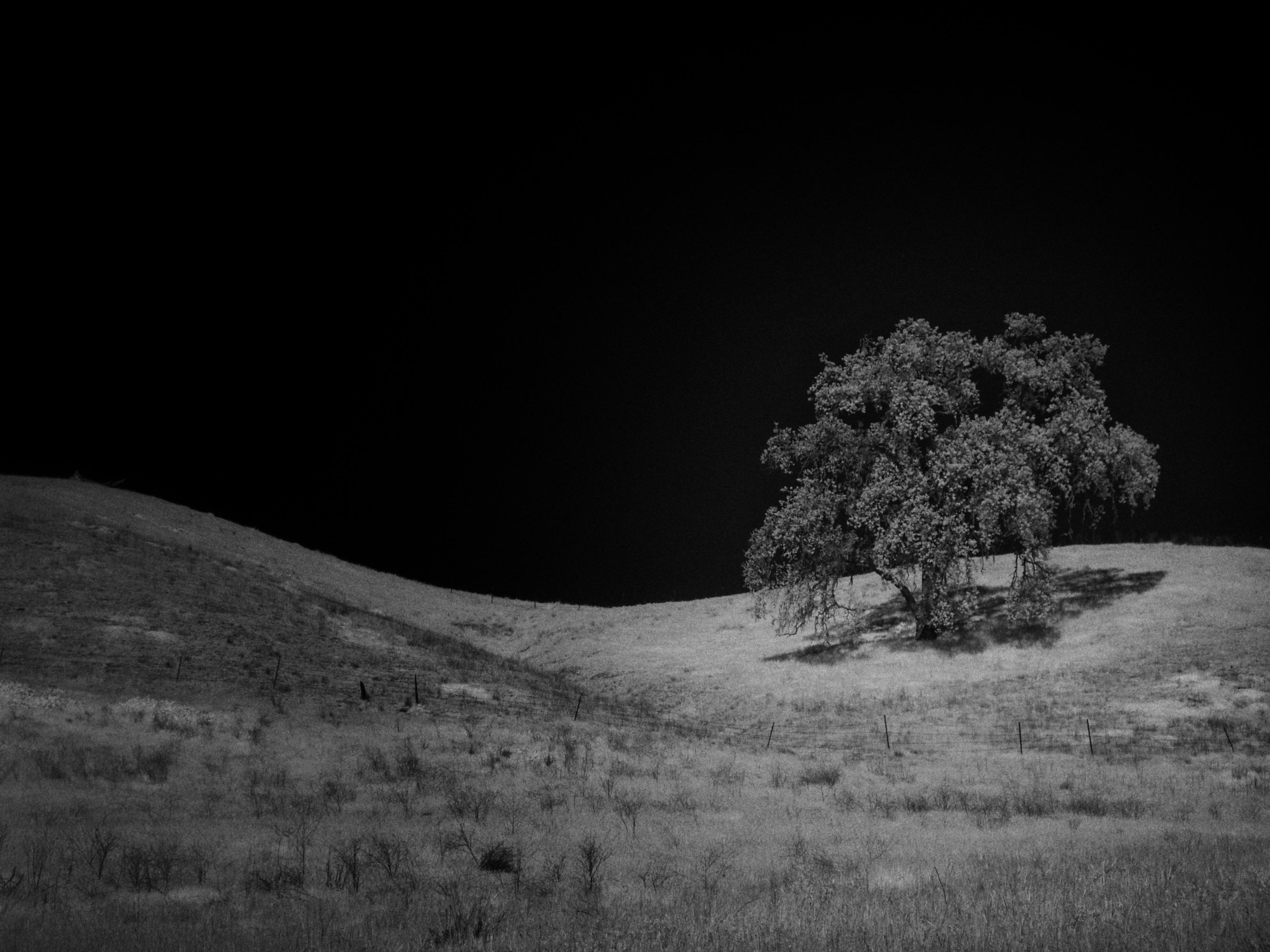 Paso Robles | Scrolller