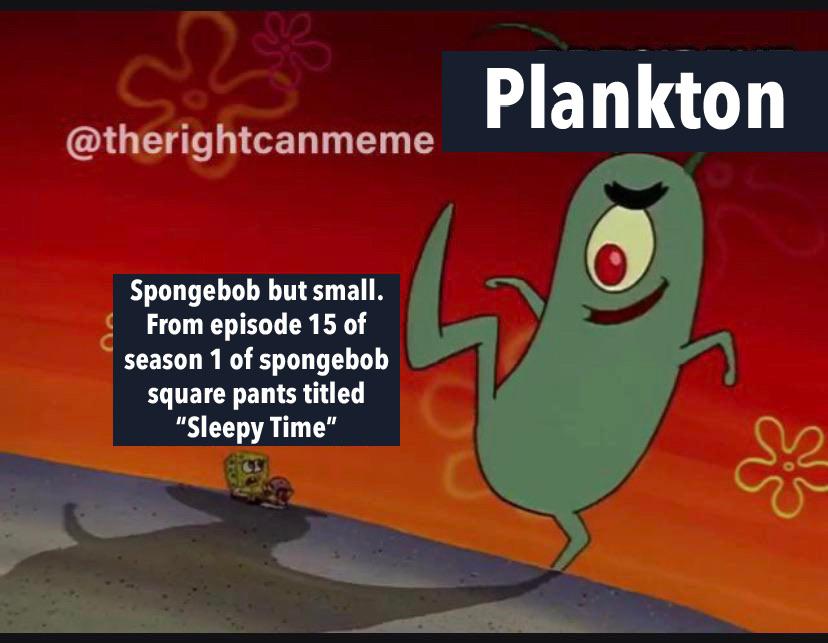 plankton-no-scrolller