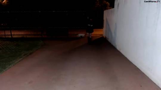 Playing with herself in the street. [GIF]