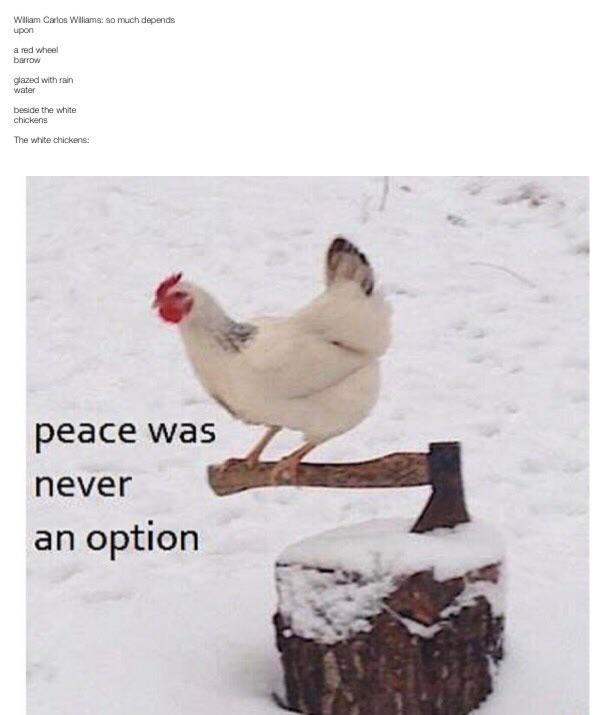 Poem Scrolller
