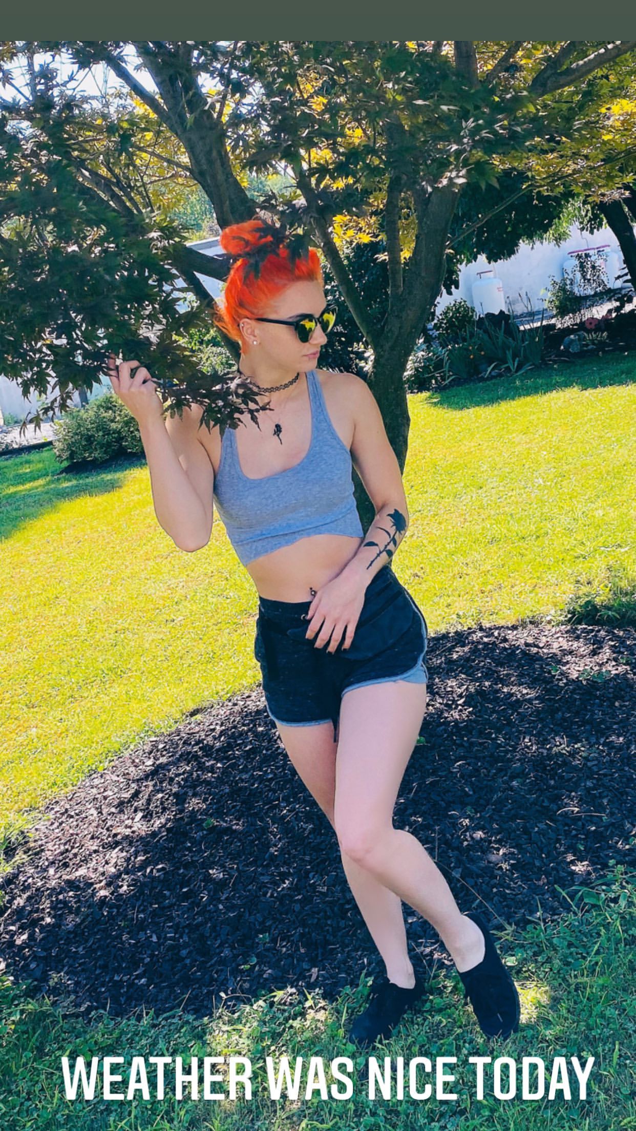 Priscilla Kelly Scrolller