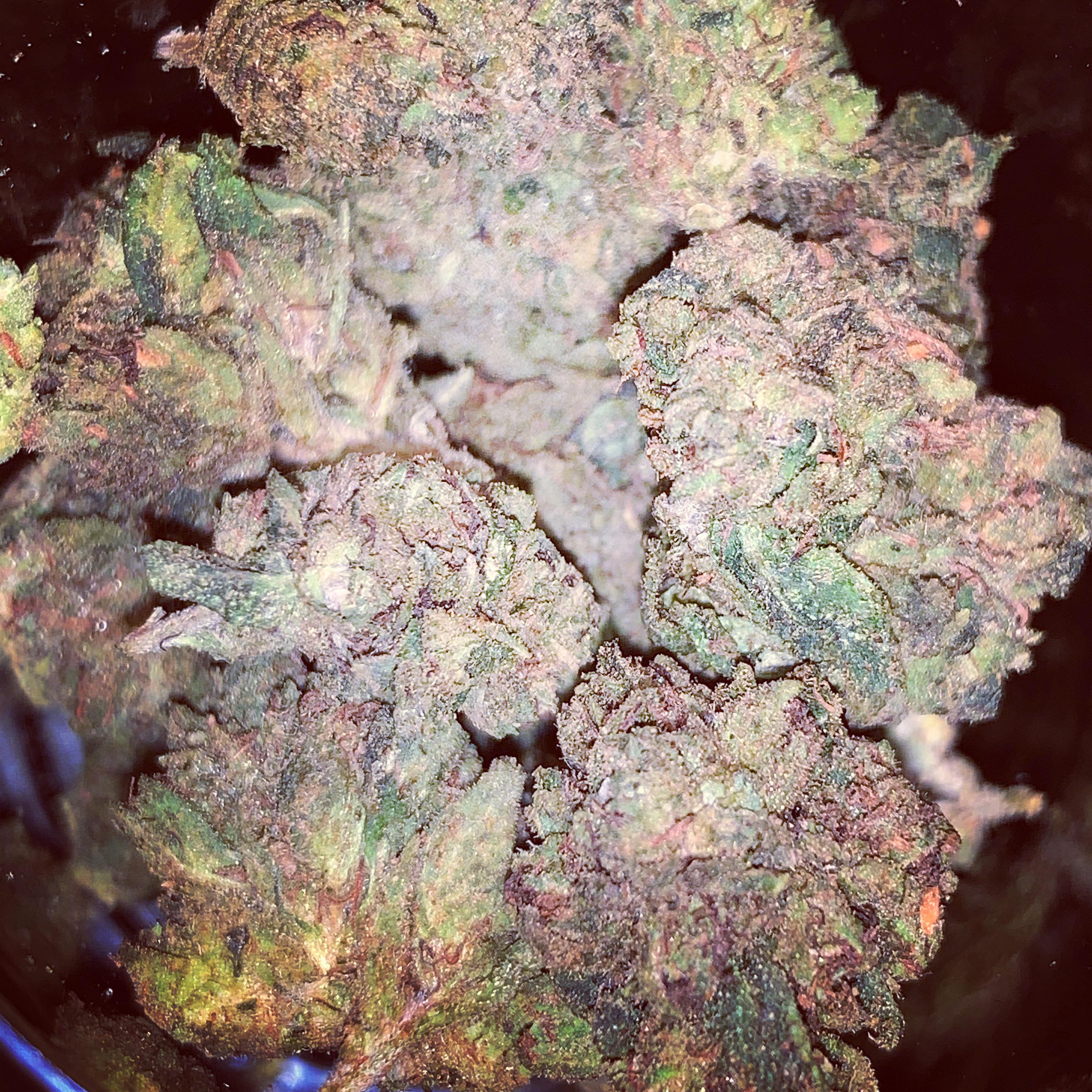 purple yung og
