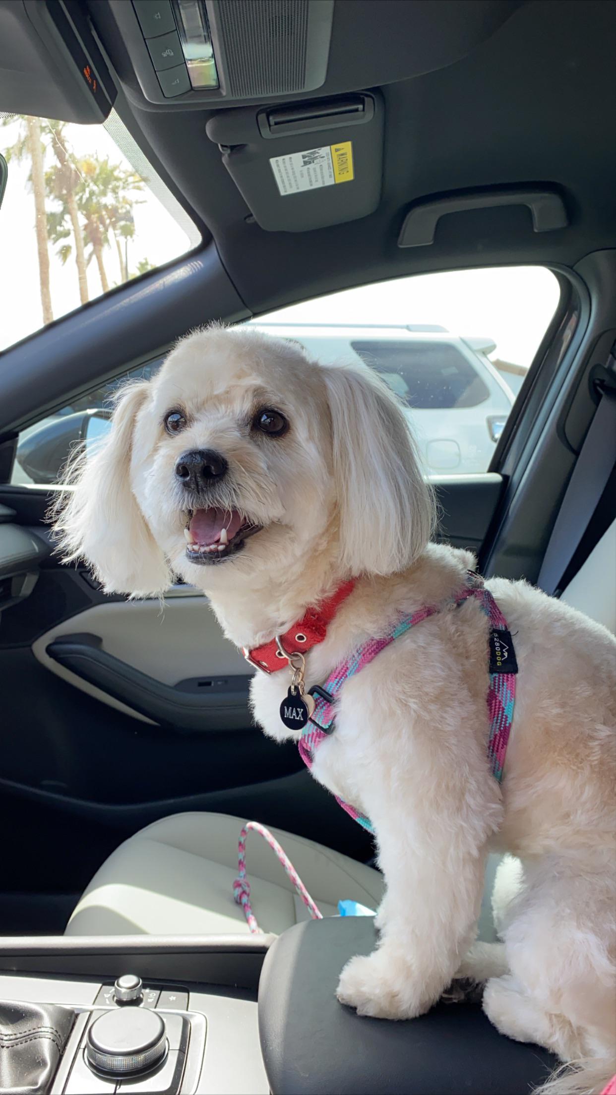 Petsmart Directions: Quick & Simple Guide - 8da2kbt