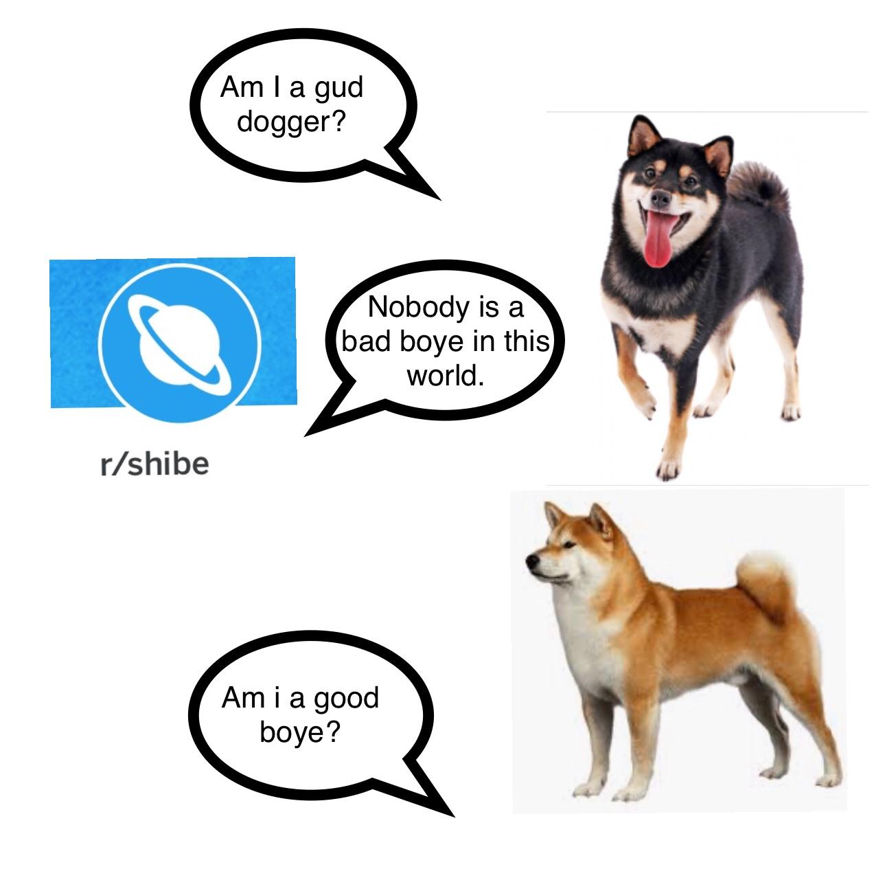 r-shibe-is-a-welcoming-boye-scrolller