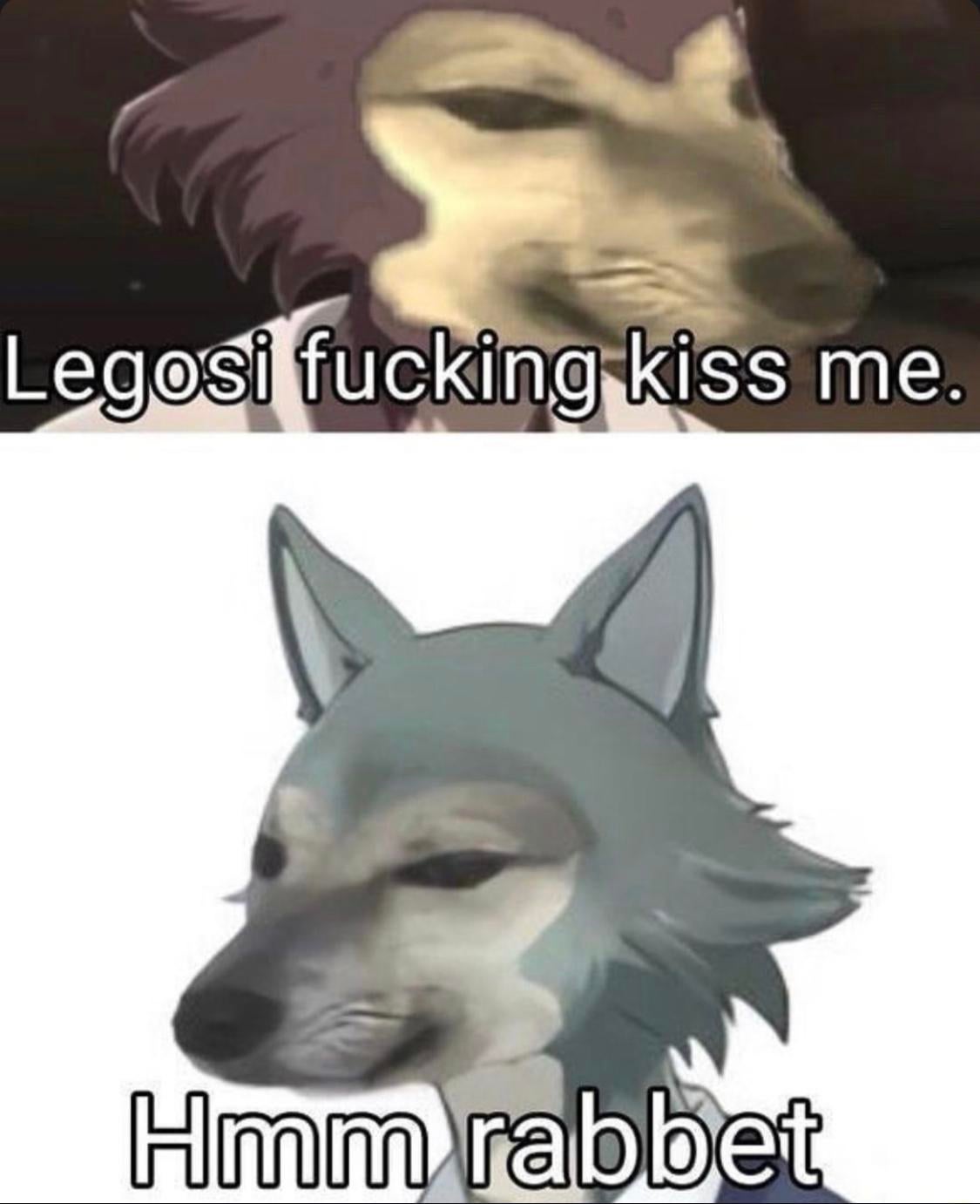 Rabbet_irl | Scrolller