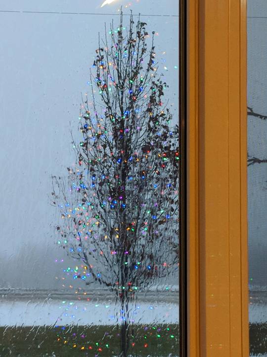 Reflection tree