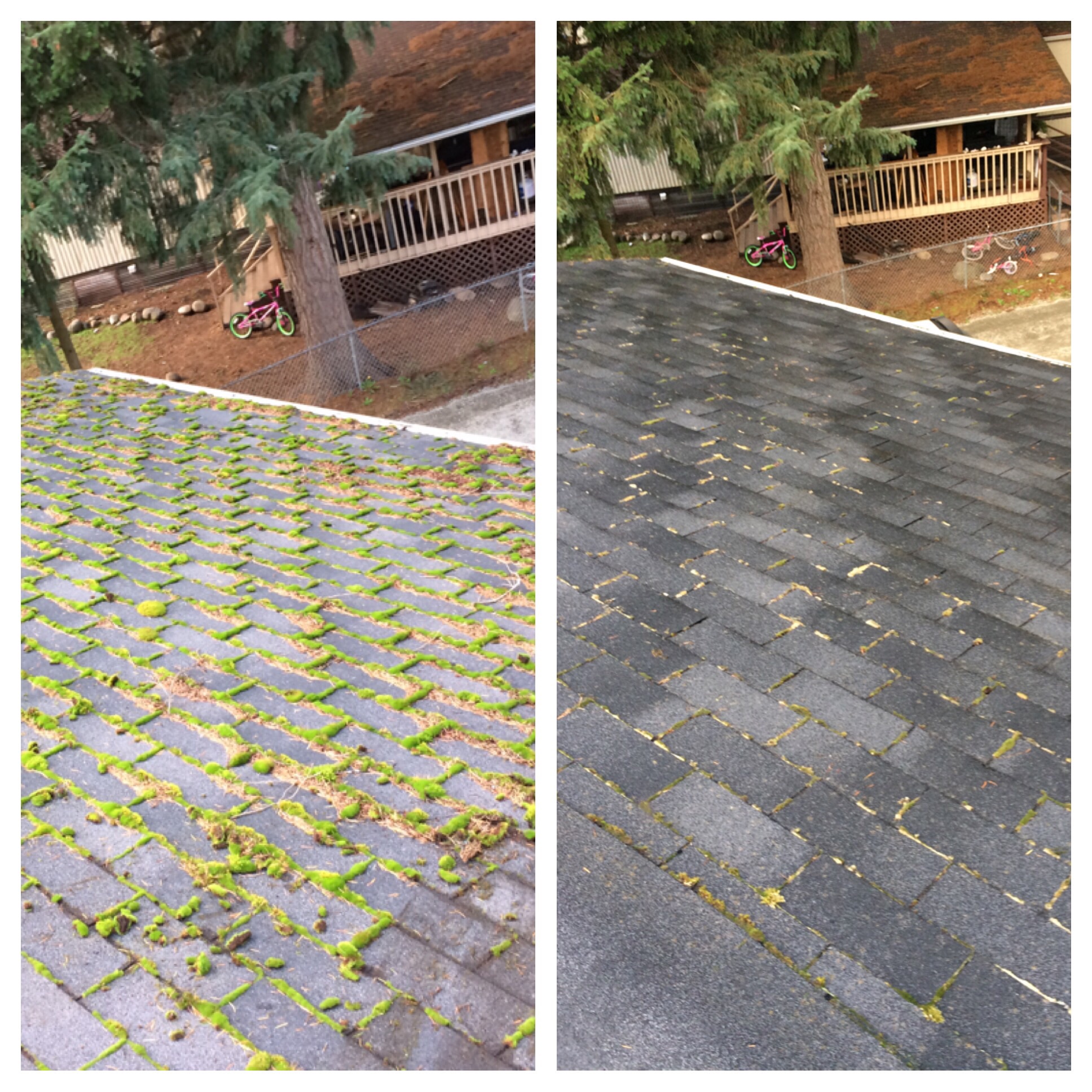 Roof moss removal Scrolller