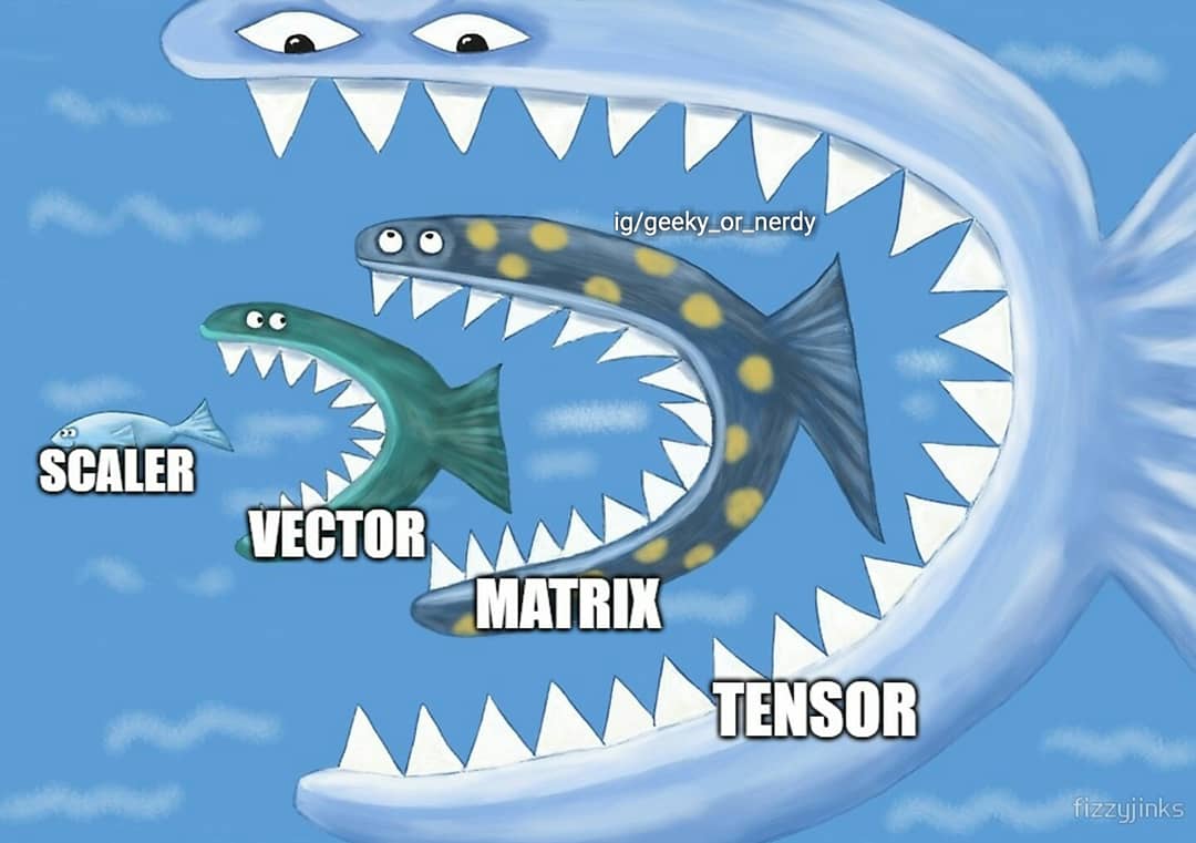 Scaler Vs Vector Vs Matrix Vs Tensor Scrolller scaler-vs-vector-vs-matrix-vs-tensor-scrolller