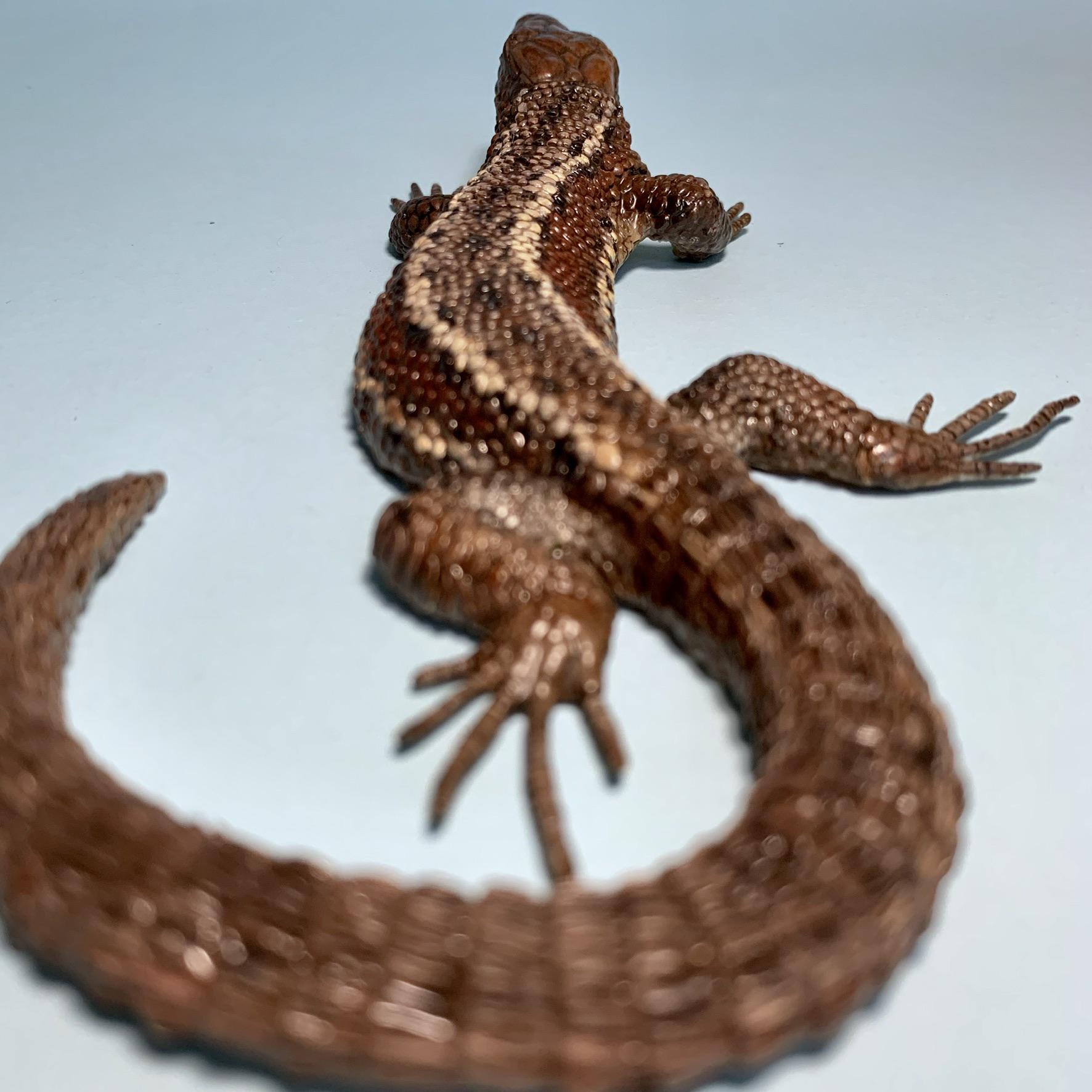 [Self] (Beginner) Resin cast of a common lizard model I made in clay ...