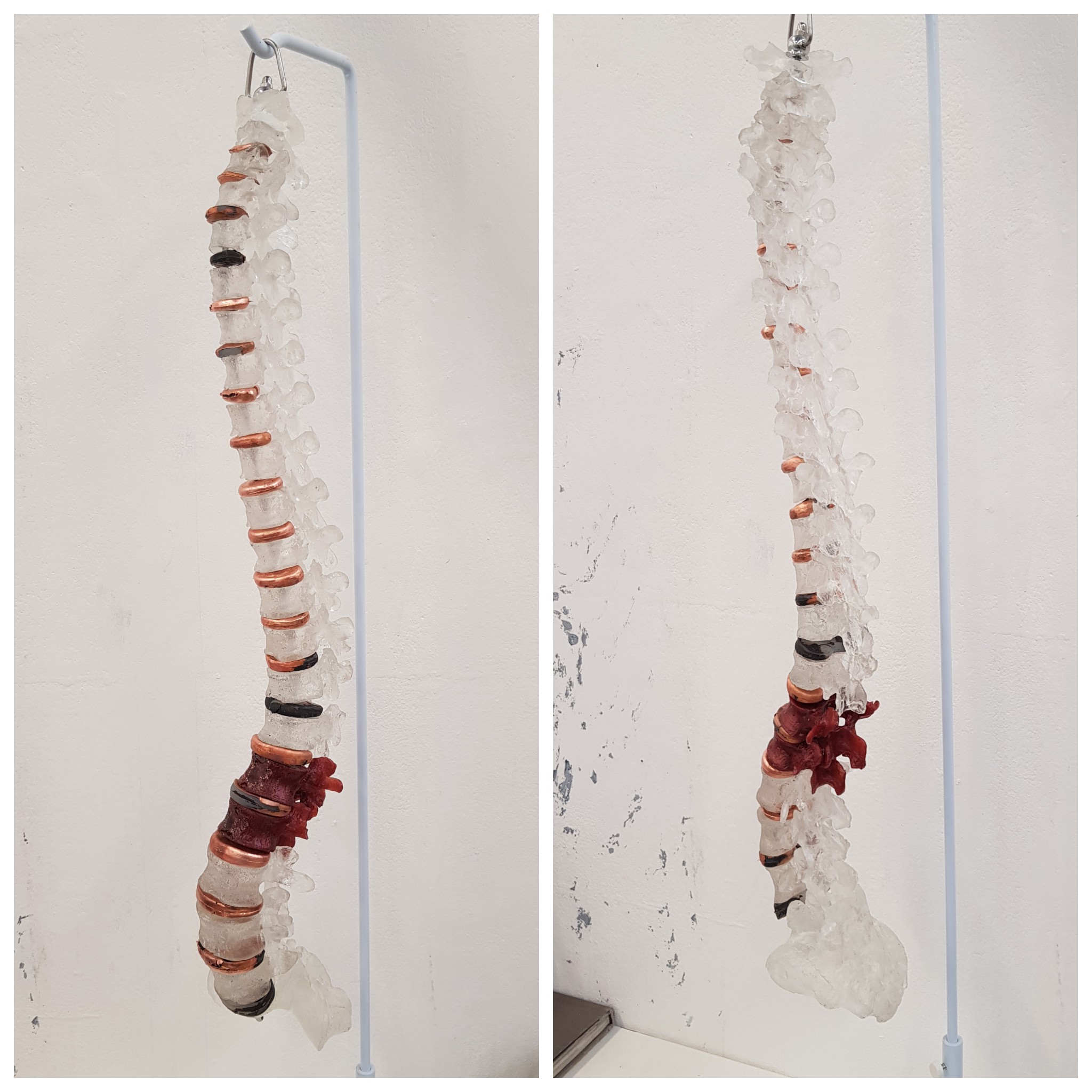[Self] 'fragile' - Human Spine cast from epoxy resin, silicone & copper ...