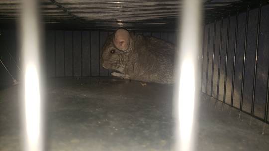 She gets offended when I call her a "toe sniffer"