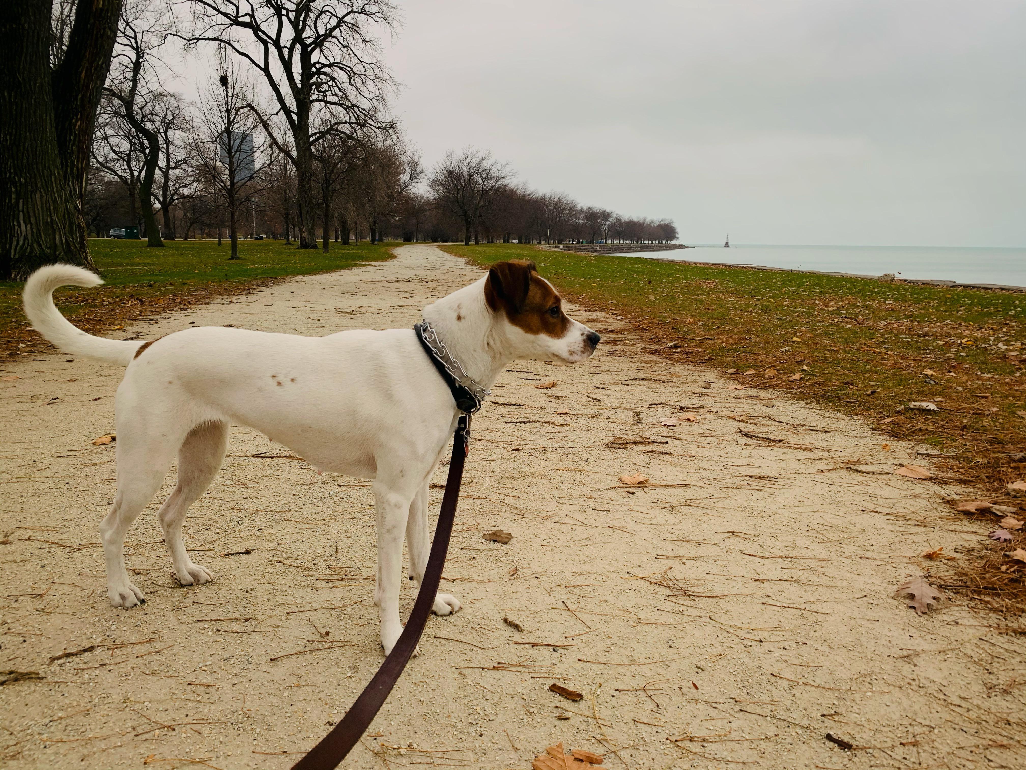 She ran her first 5k today. | Scrolller