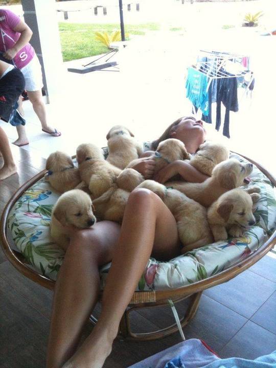 Girl in a chair full of puppies