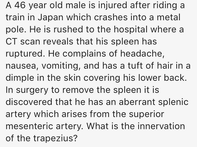 [shitpost] anatomy exam questions be like... | Scrolller