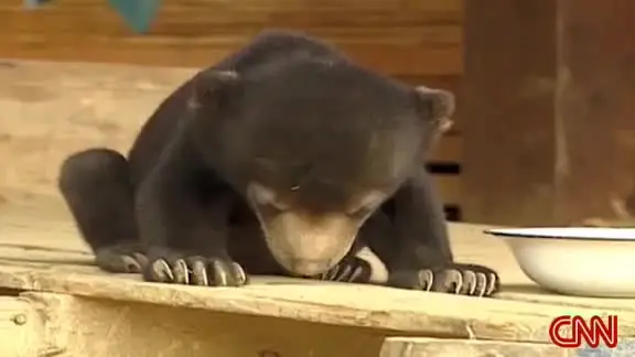 Sleepy little guy