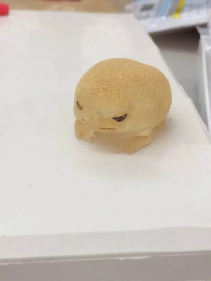 Smol and angry | Scrolller