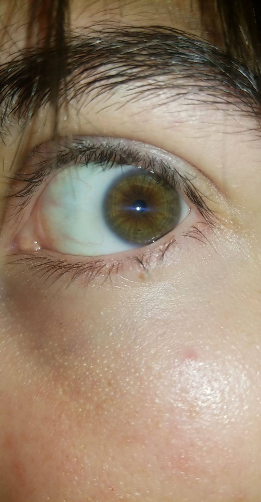 Solid dark green hazel, born with black eyes then turned into gray too