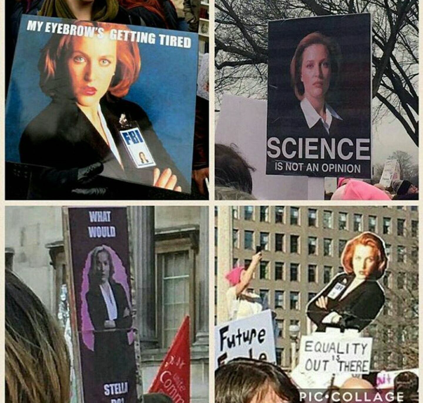 Some fabulous Scully signs from the Women's Marches | Scrolller